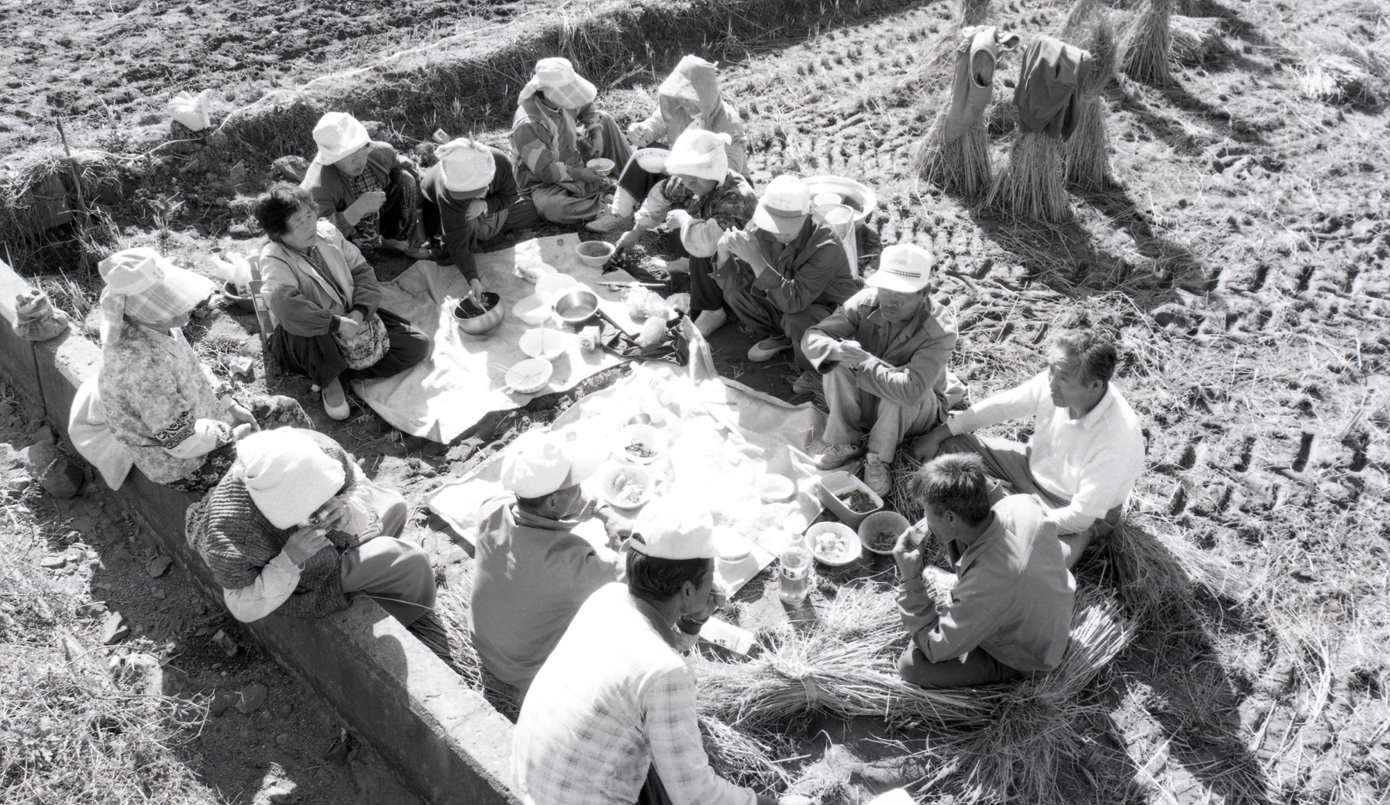 다운로드 불가 이미지