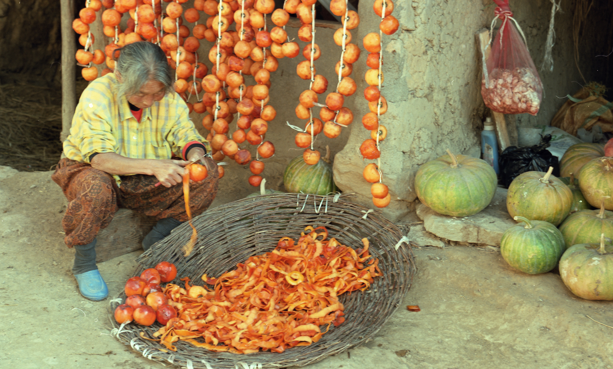 다운로드 불가 이미지