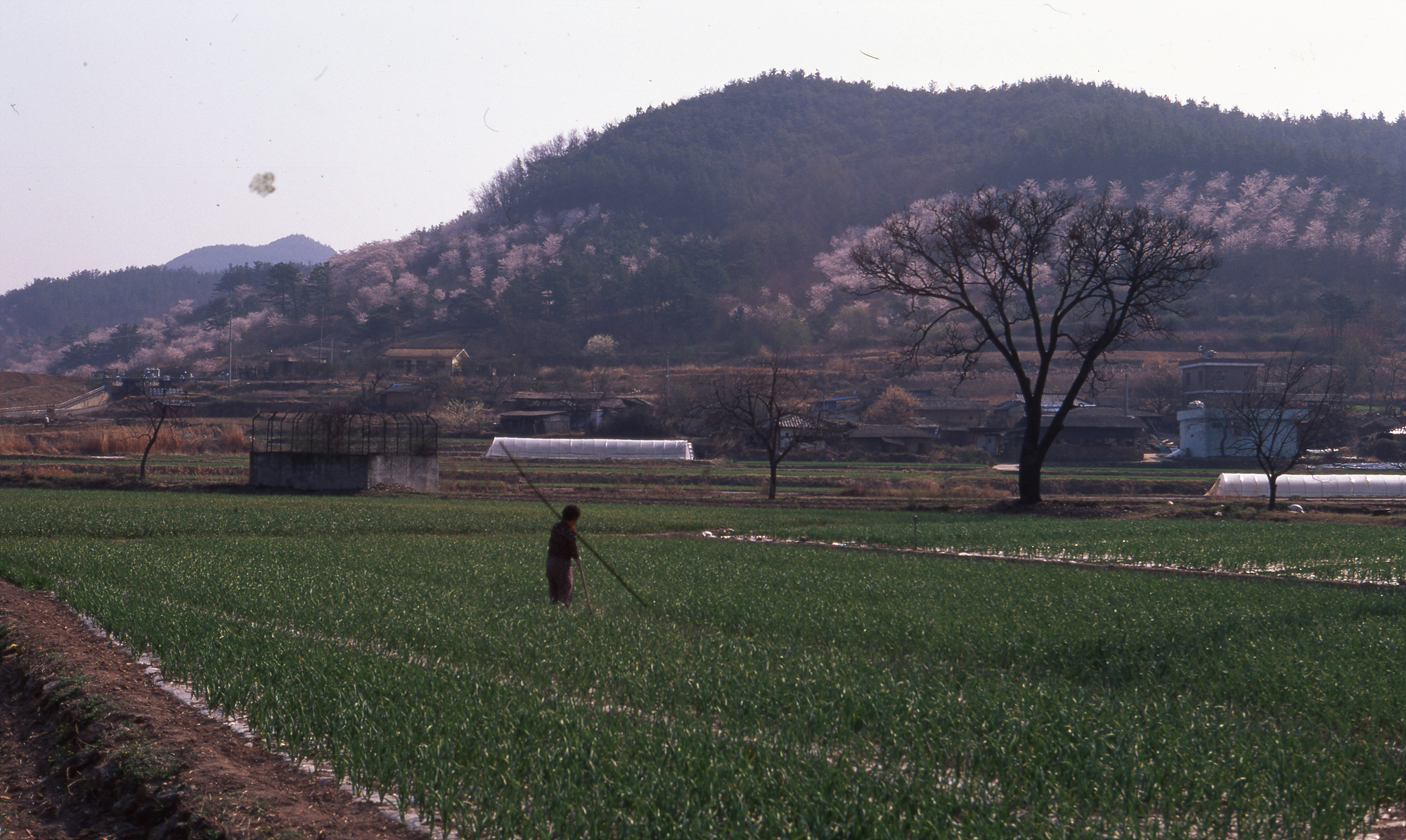 다운로드 불가 이미지