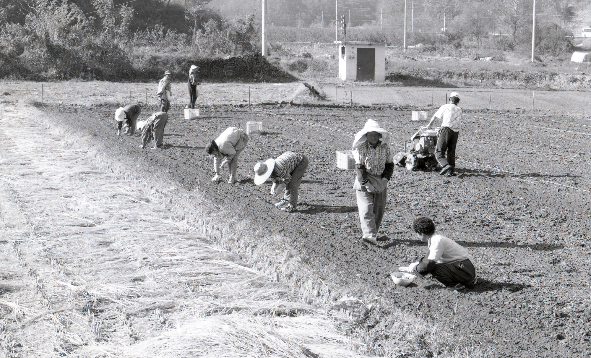 다운로드 불가 이미지