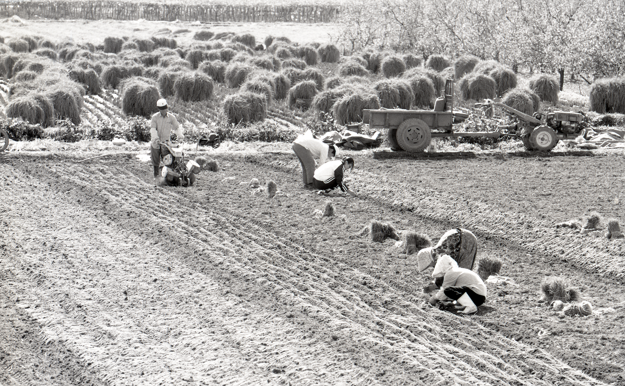 다운로드 불가 이미지