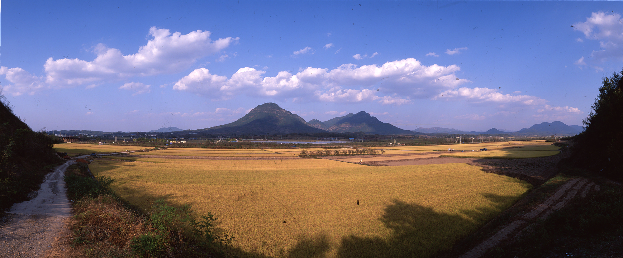 다운로드 불가 이미지