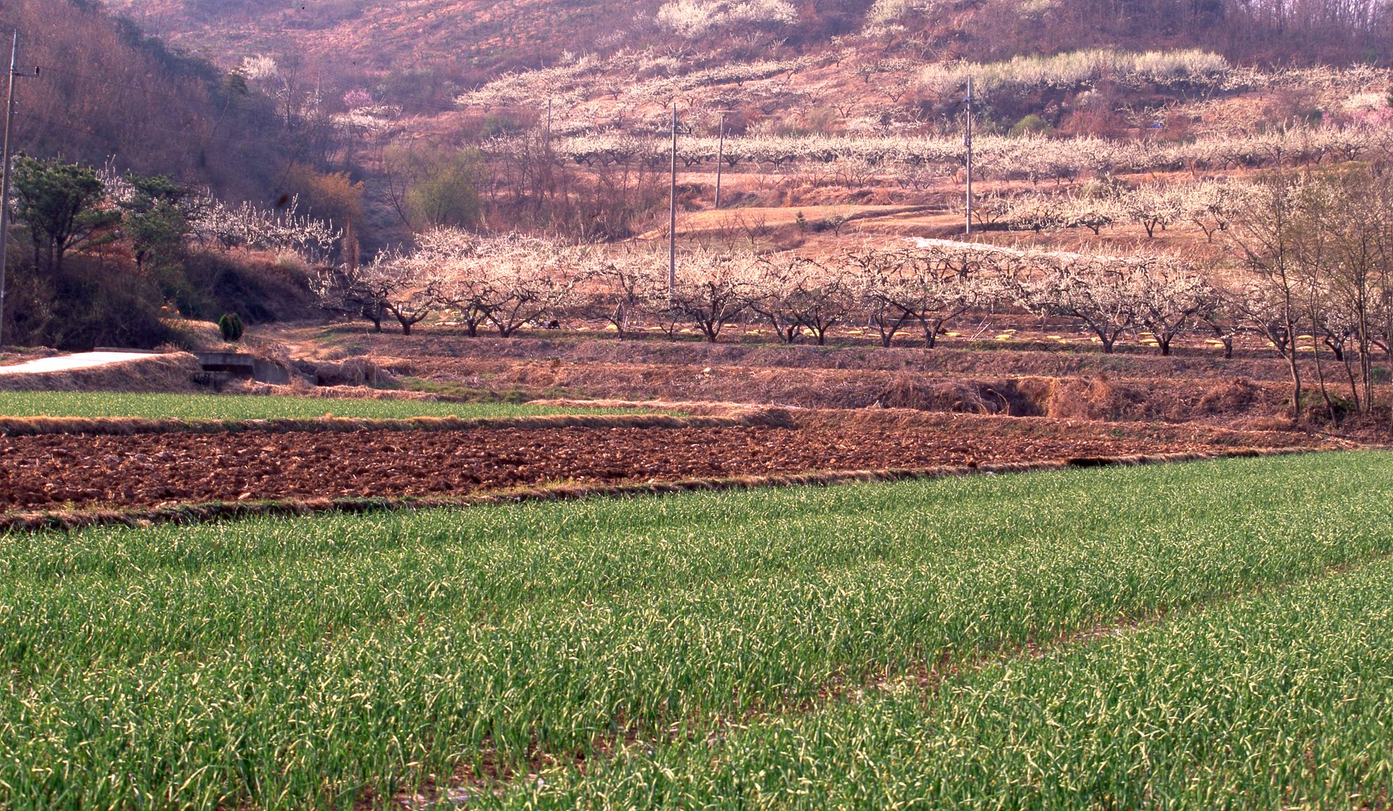 다운로드 불가 이미지