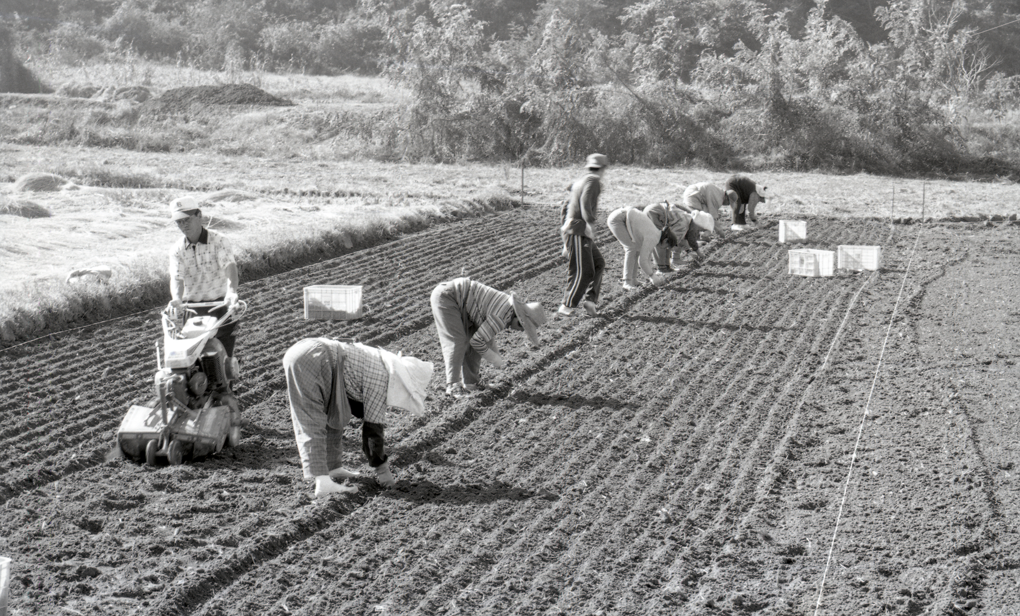 다운로드 불가 이미지