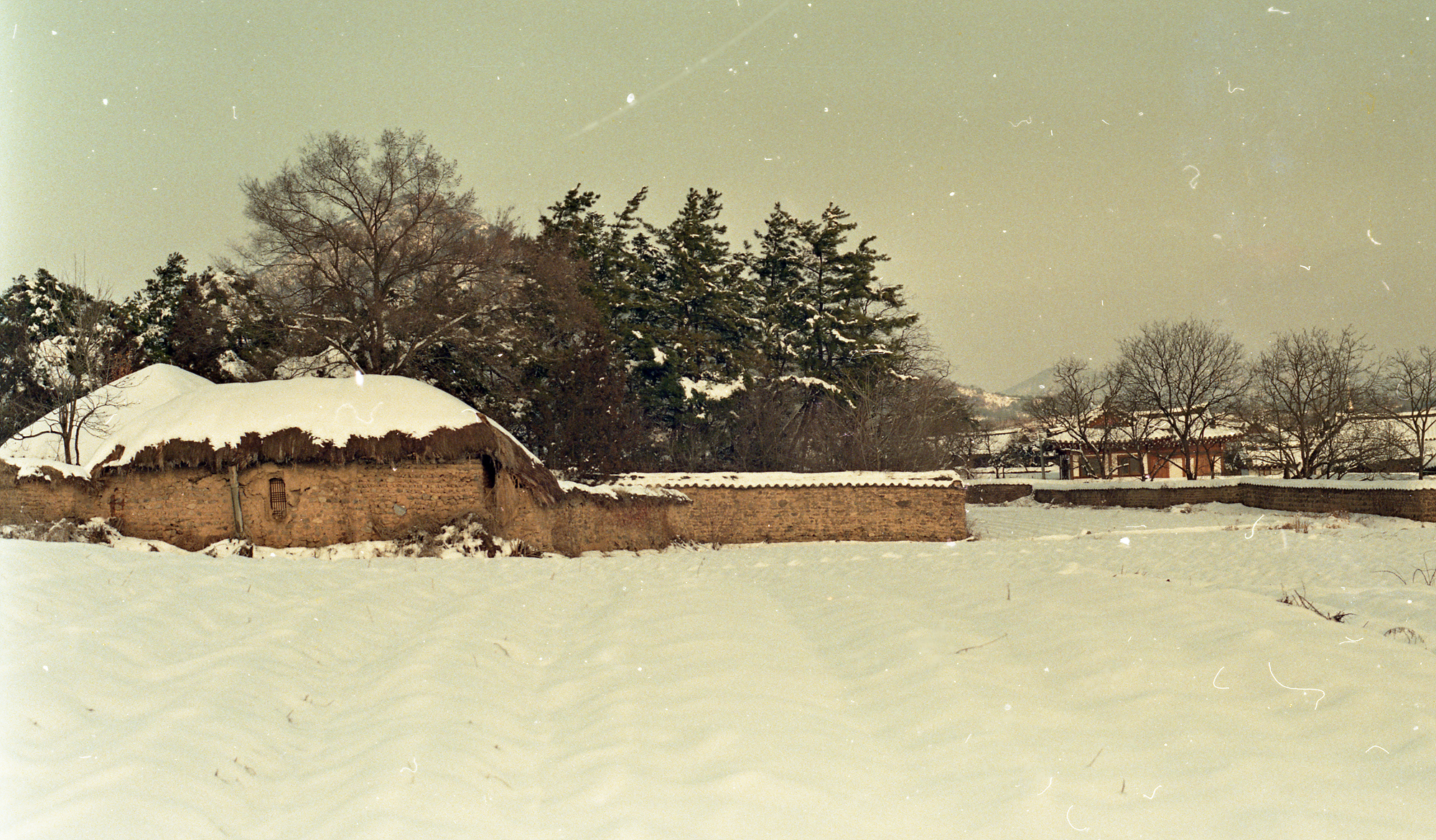 다운로드 불가 이미지