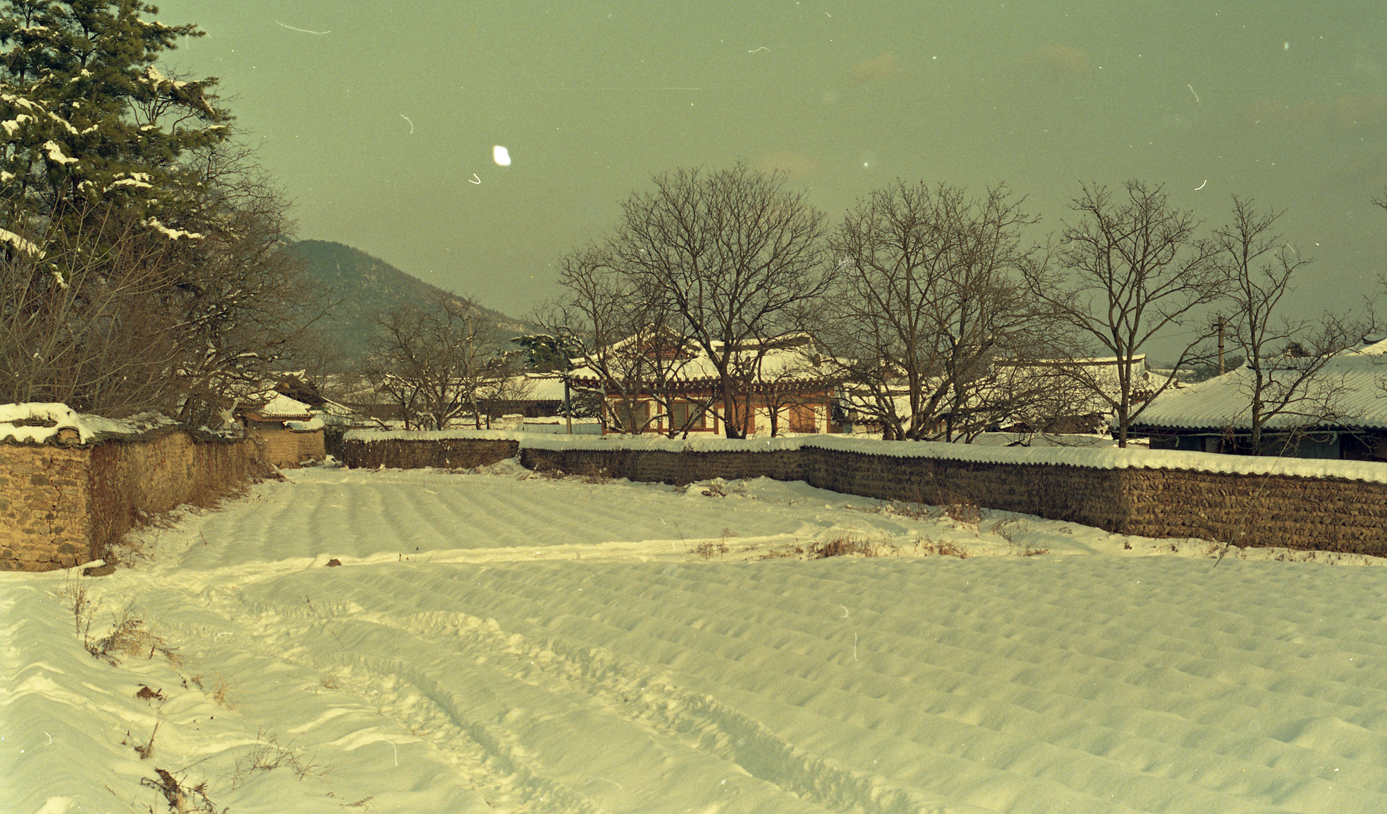 다운로드 불가 이미지