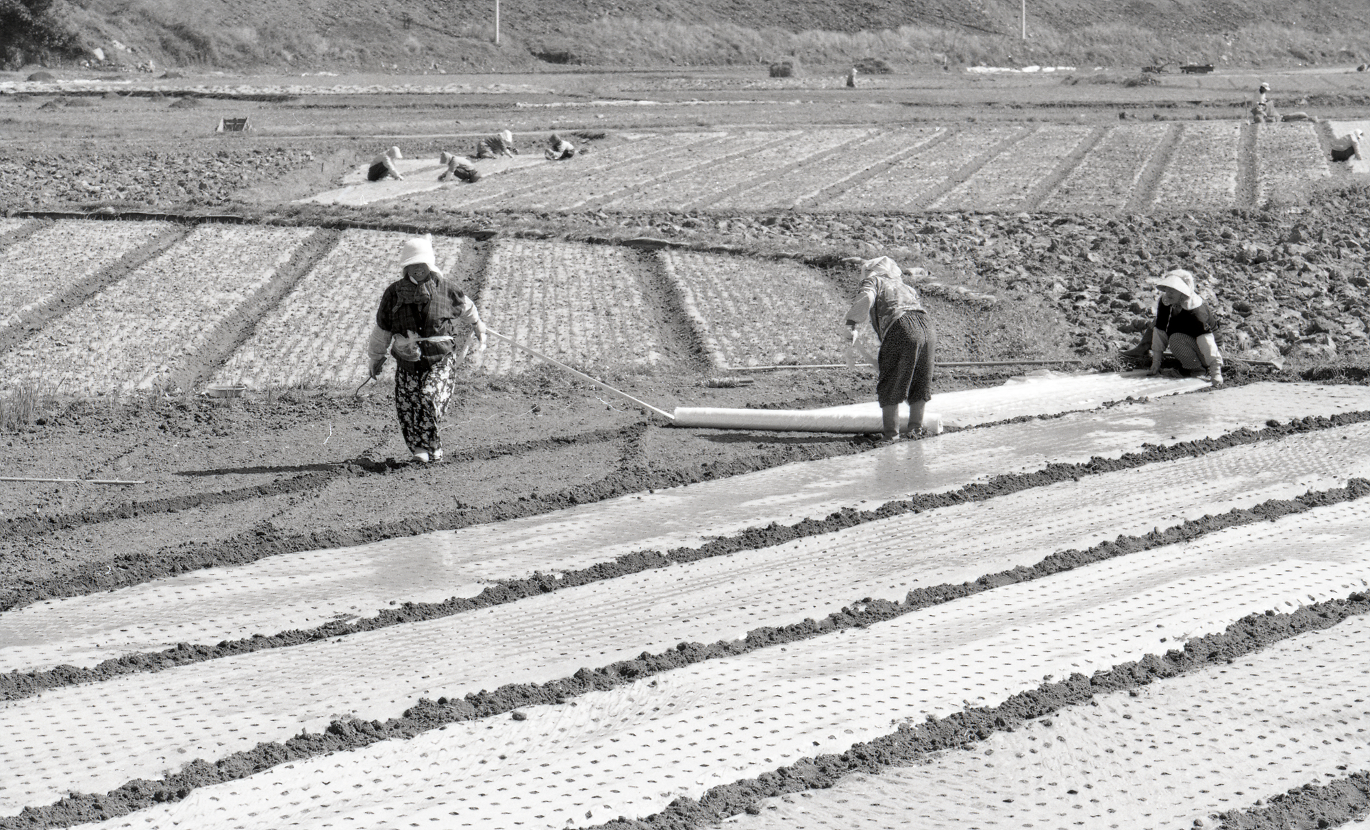 다운로드 불가 이미지