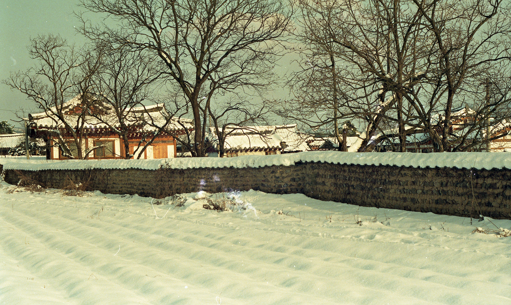 다운로드 불가 이미지