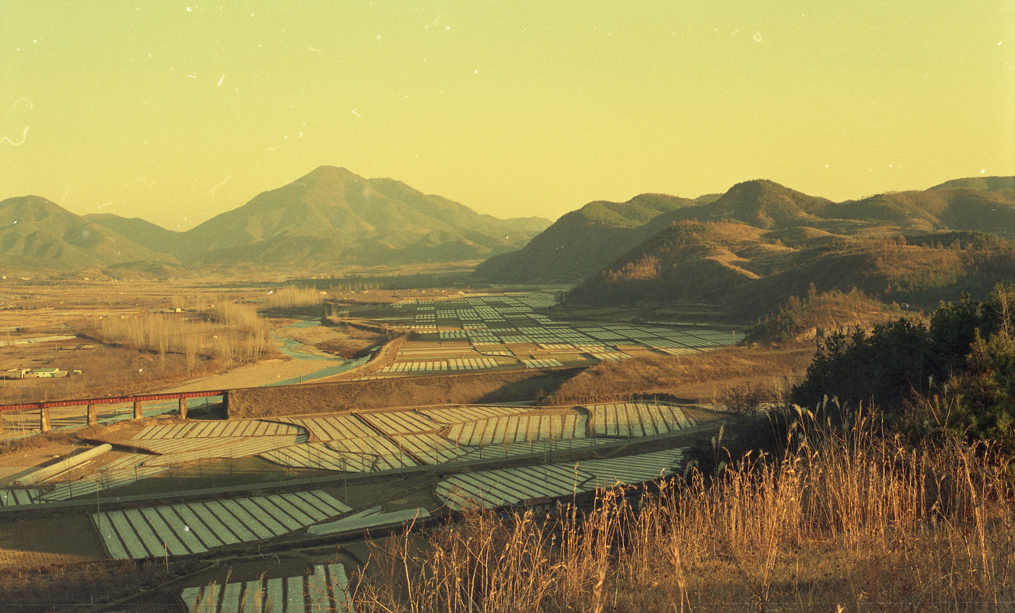 다운로드 불가 이미지