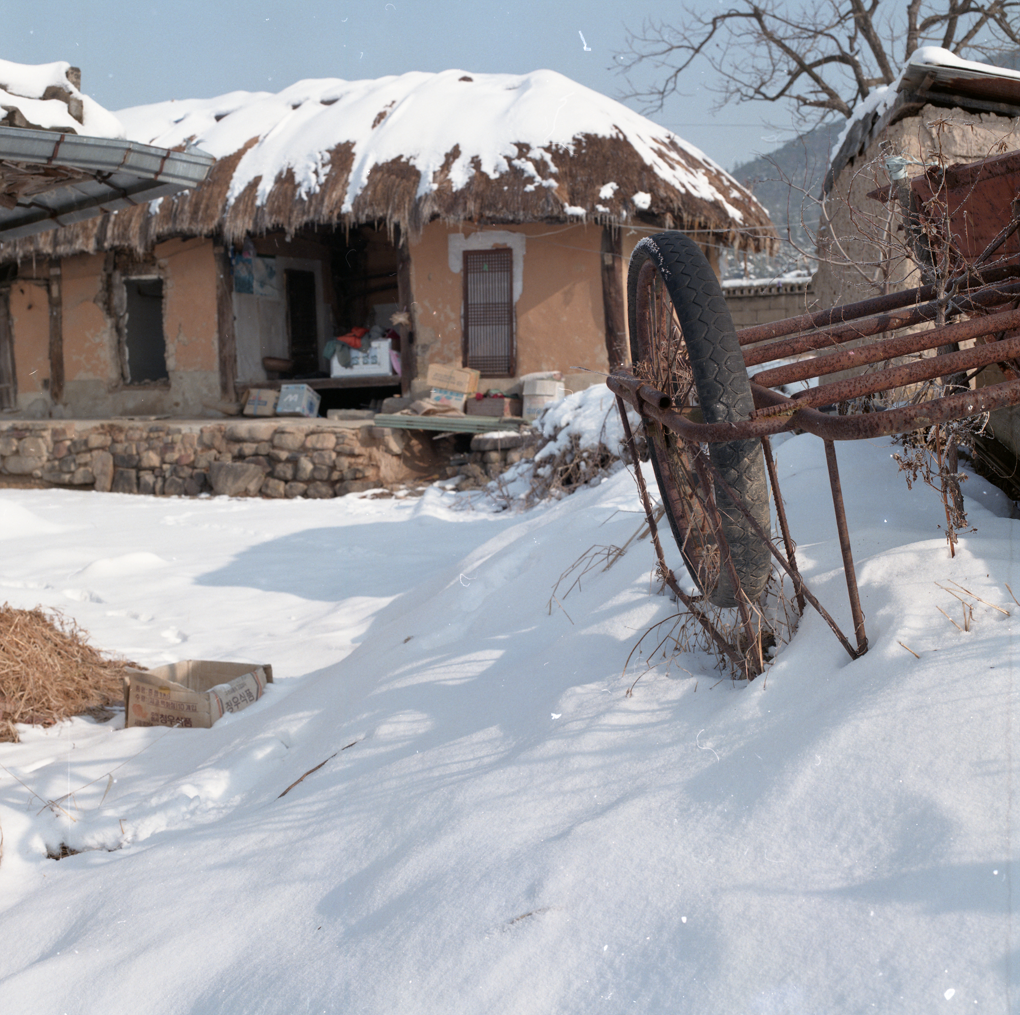 다운로드 불가 이미지