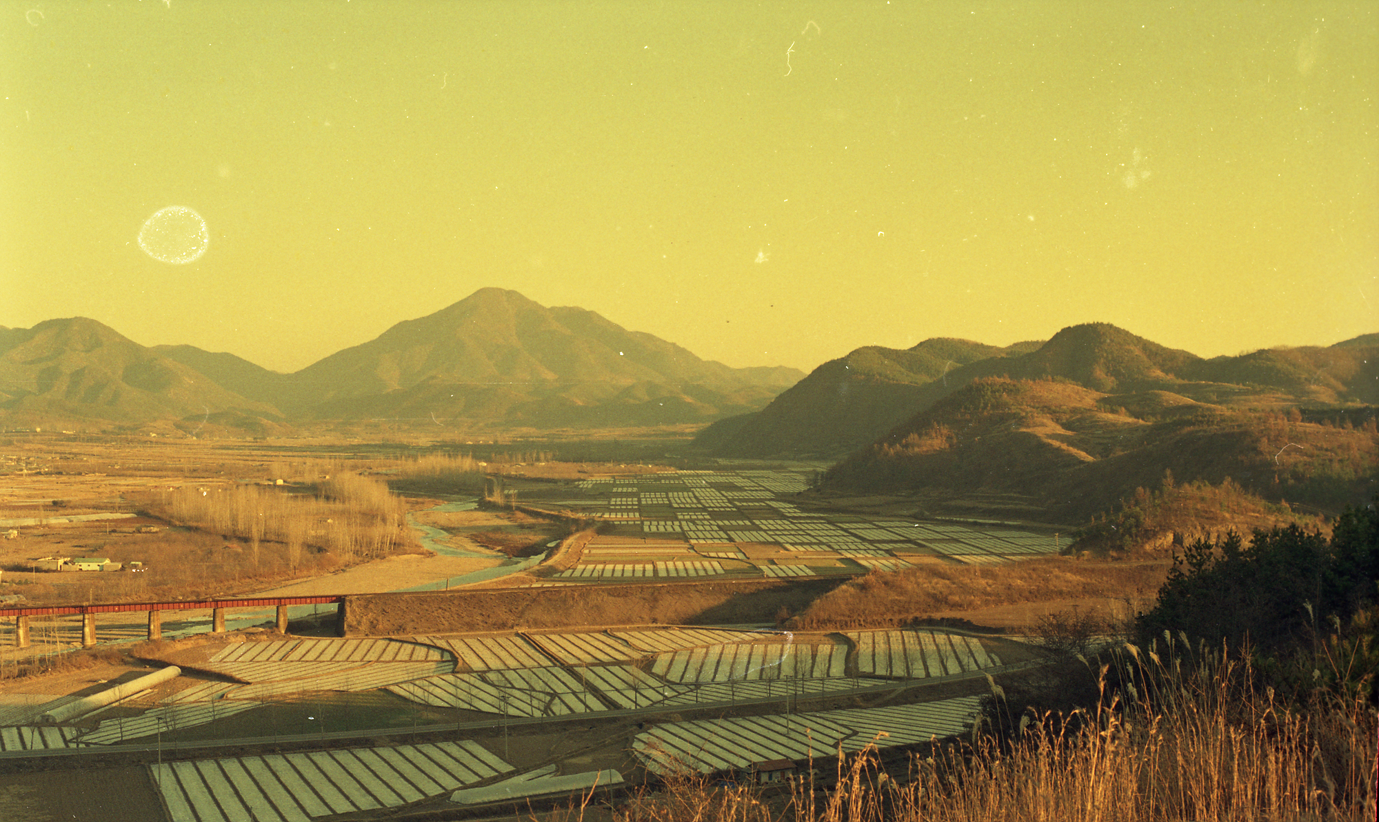 다운로드 불가 이미지