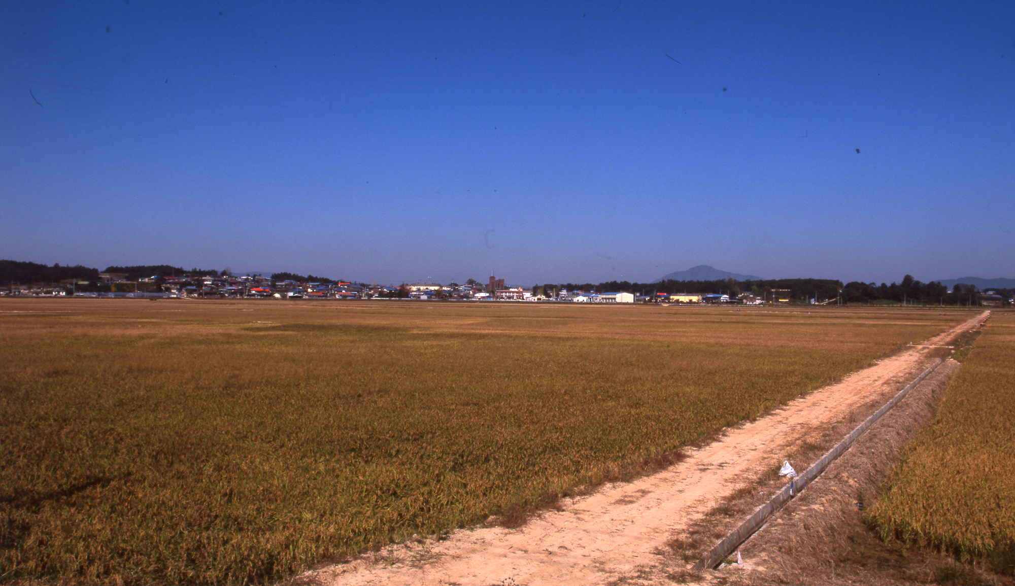 다운로드 불가 이미지