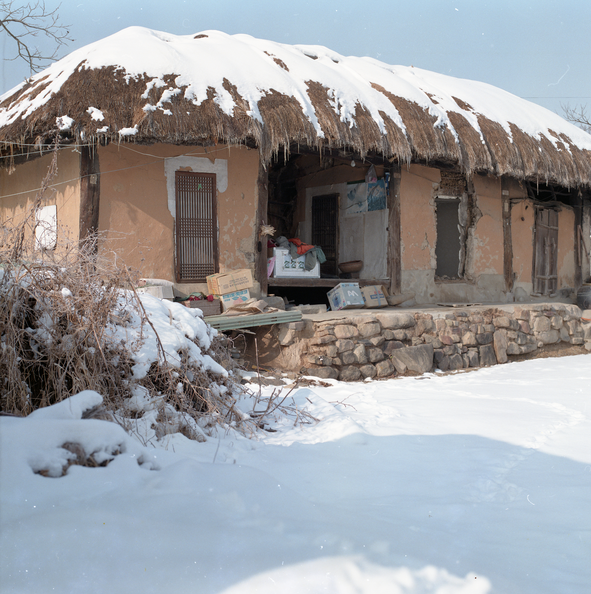 다운로드 불가 이미지