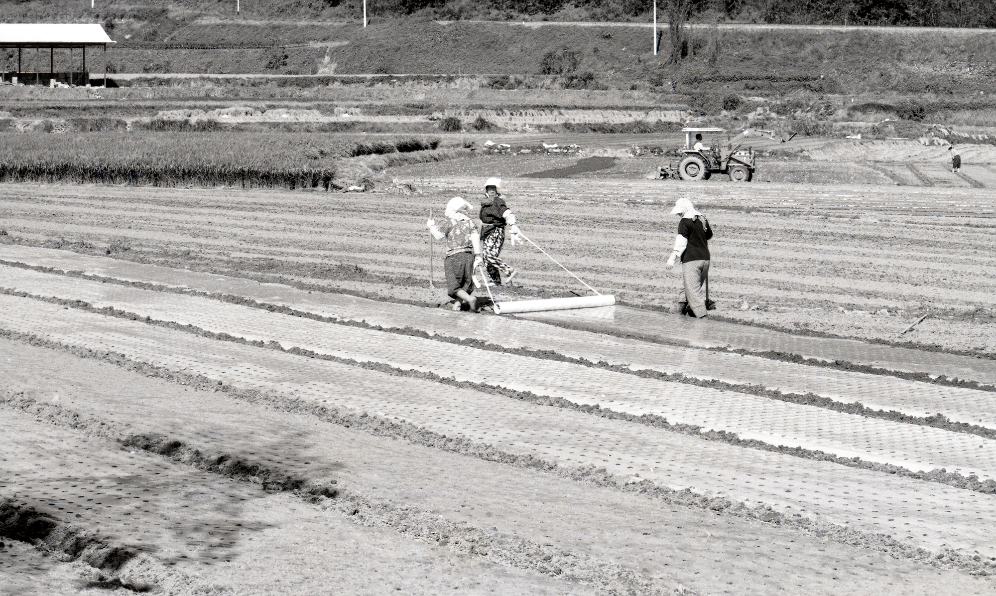 다운로드 불가 이미지