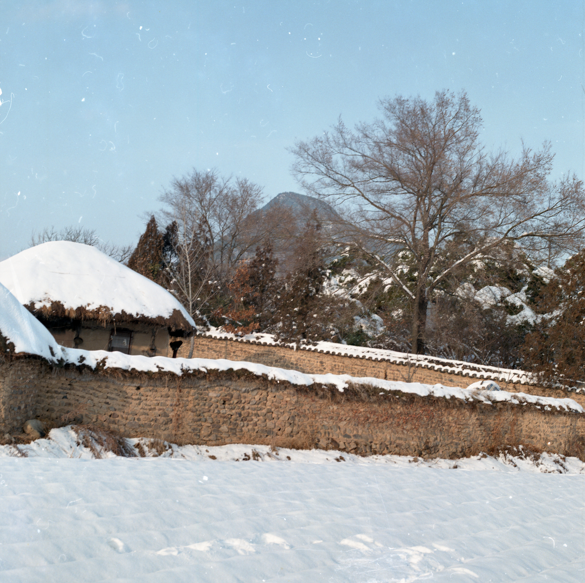 다운로드 불가 이미지
