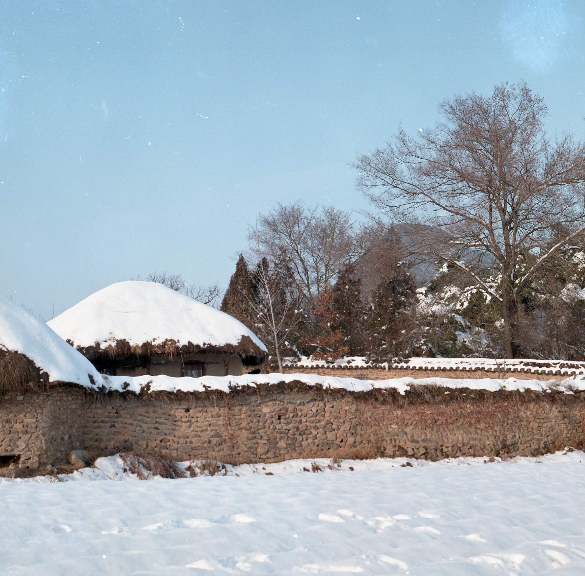 다운로드 불가 이미지