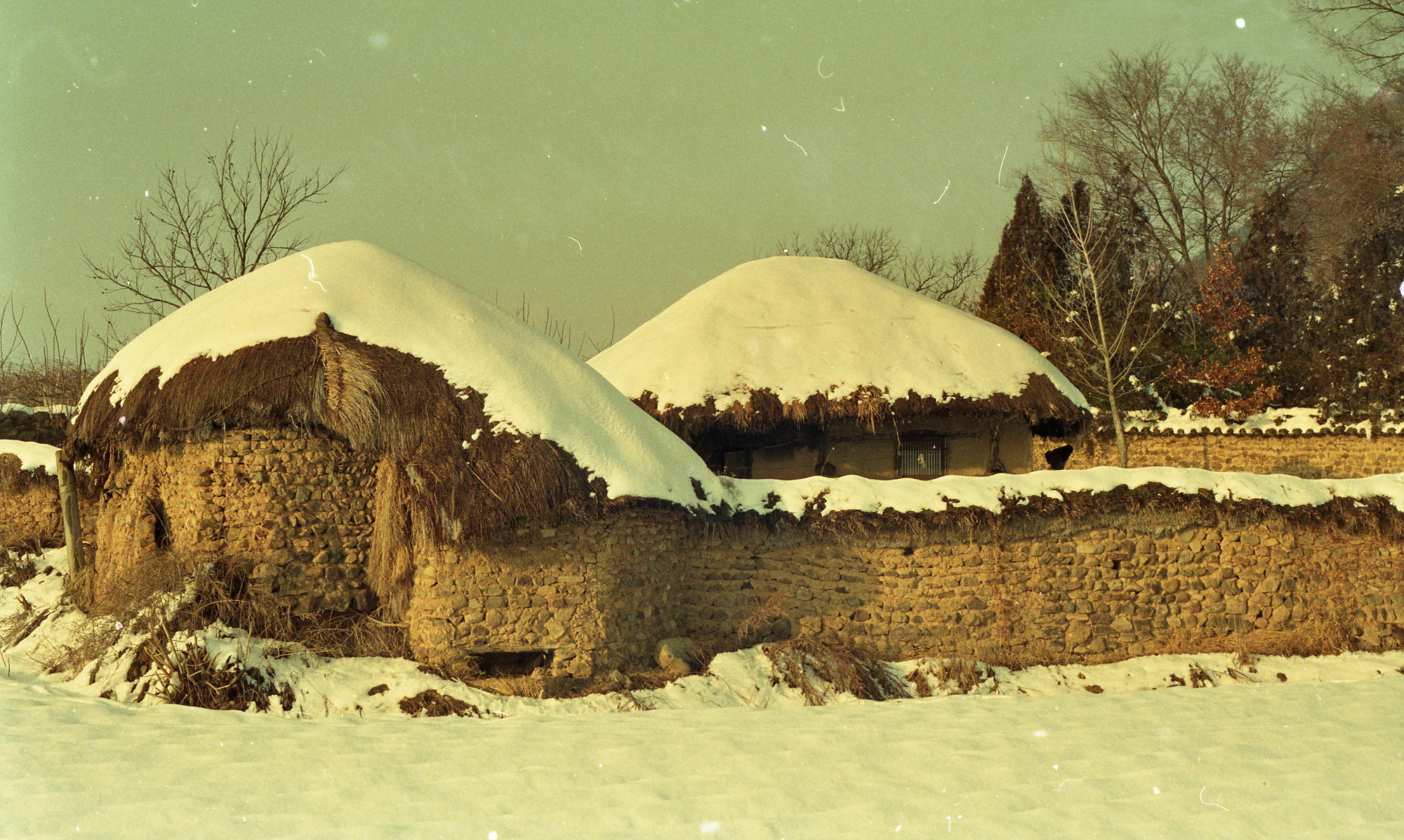 다운로드 불가 이미지