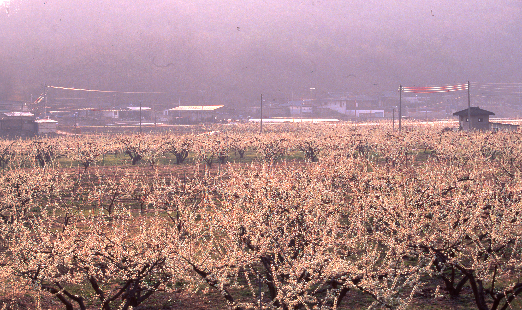 다운로드 불가 이미지