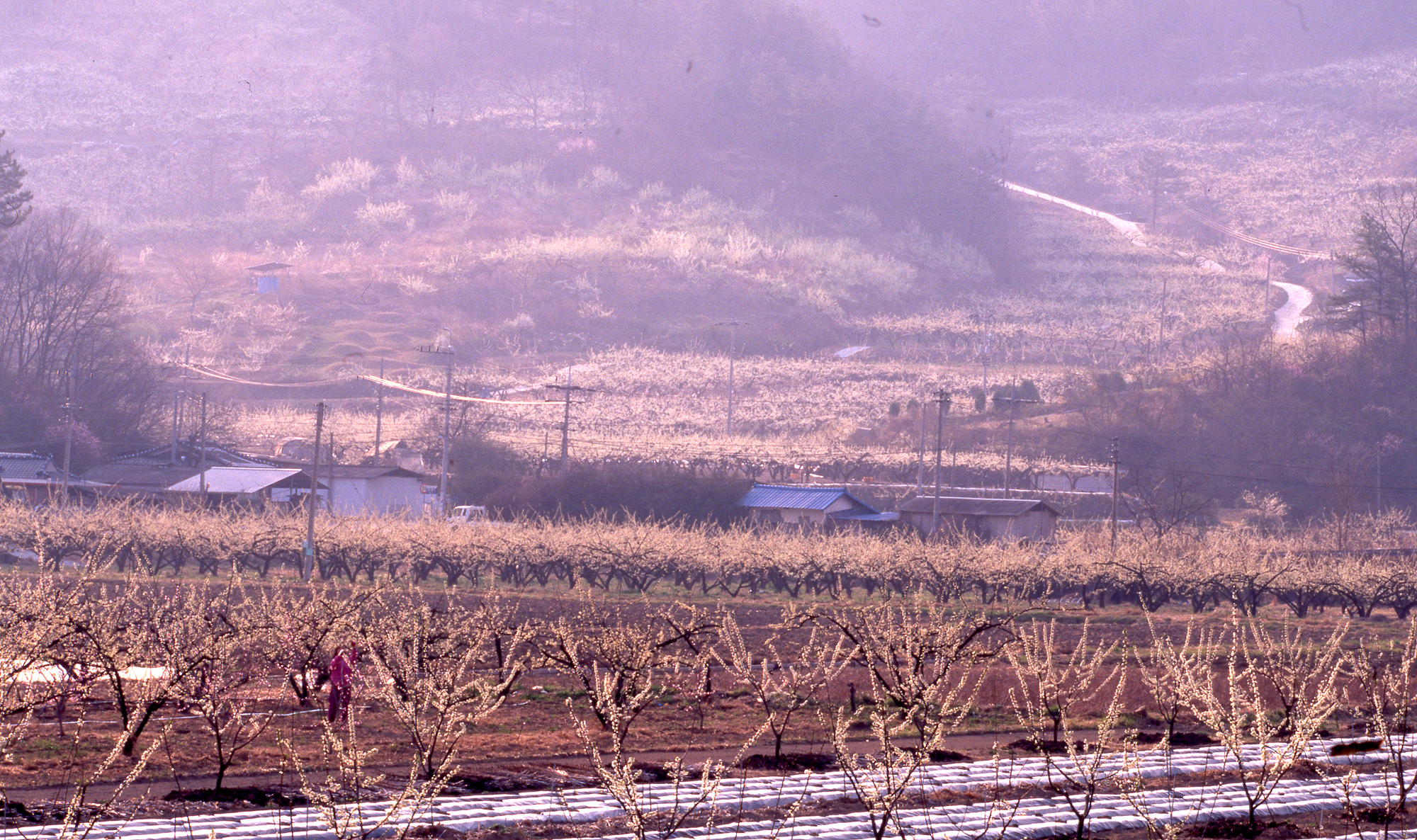 다운로드 불가 이미지