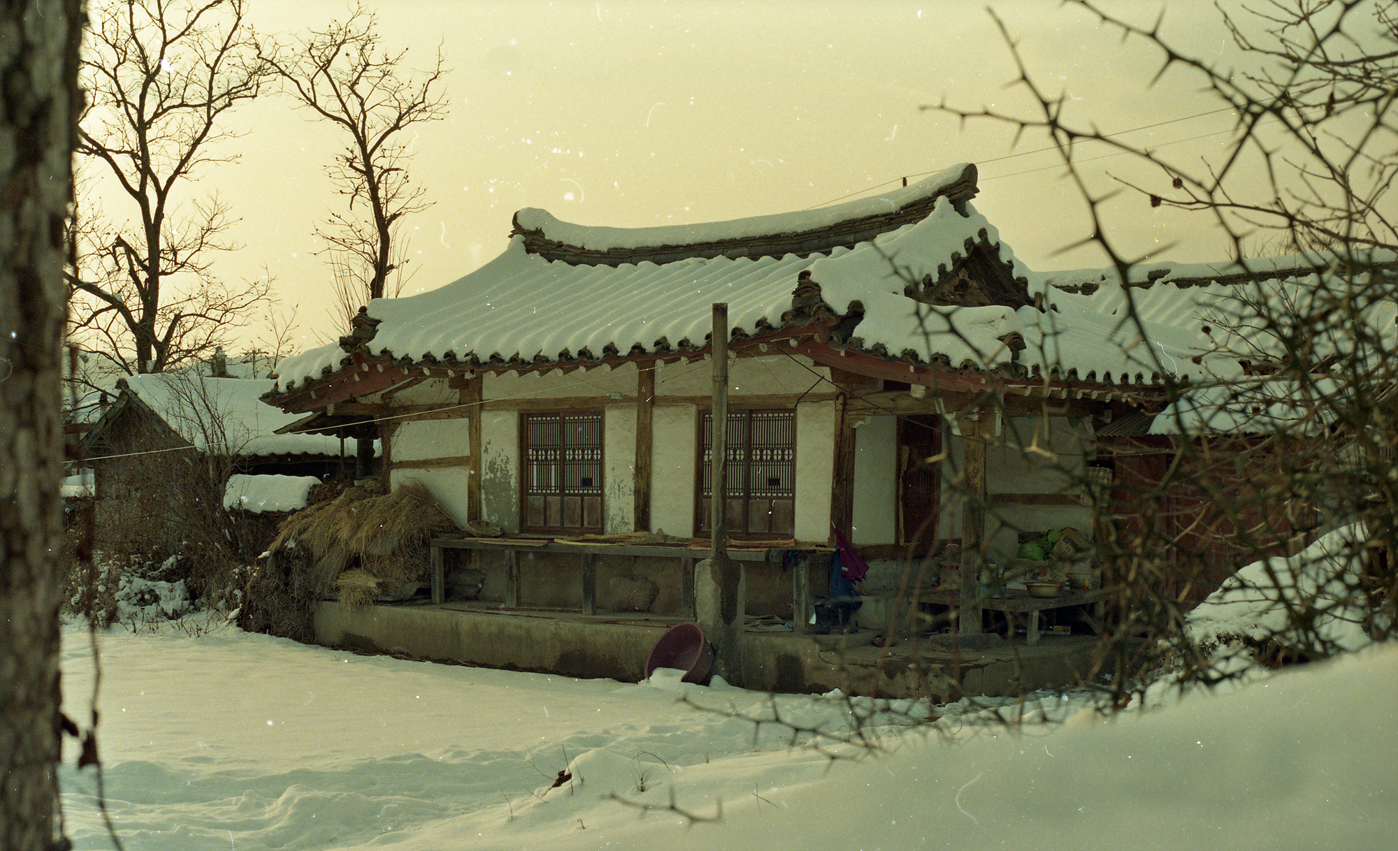 다운로드 불가 이미지