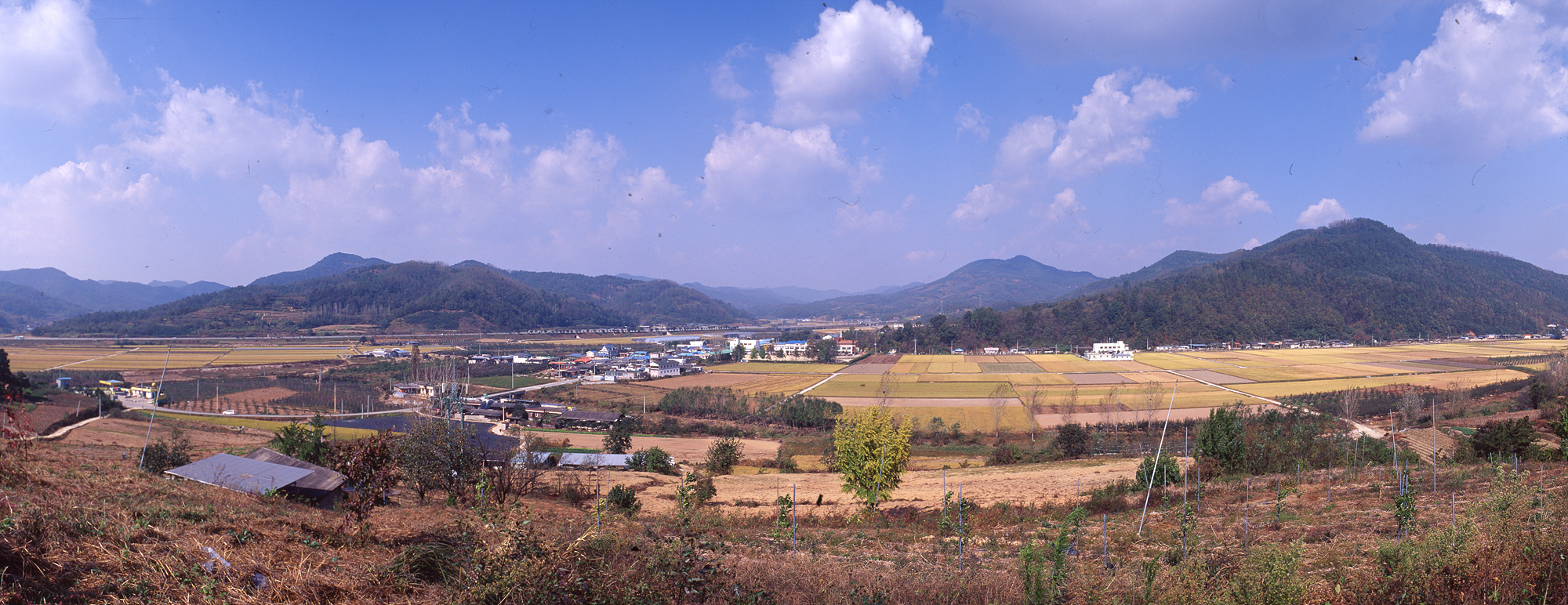 다운로드 불가 이미지