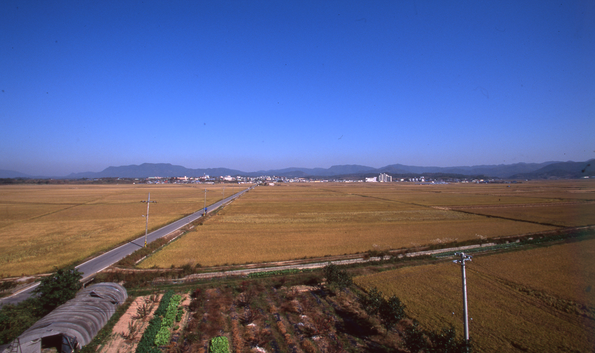 다운로드 불가 이미지