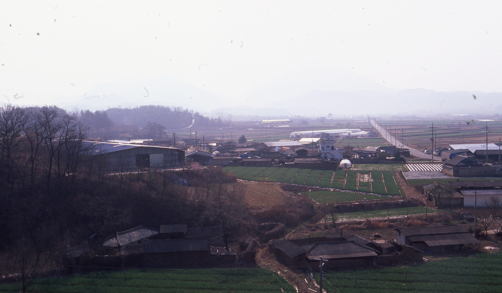 다운로드 불가 이미지