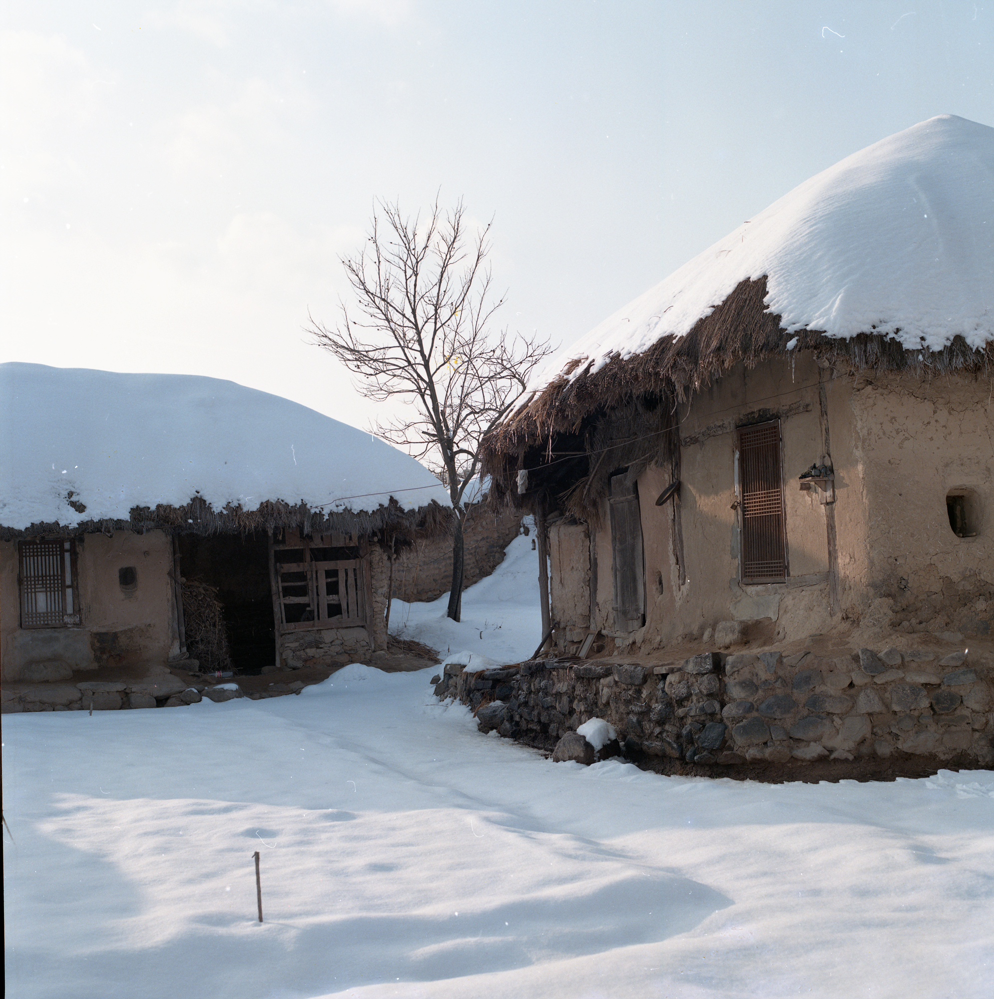 다운로드 불가 이미지