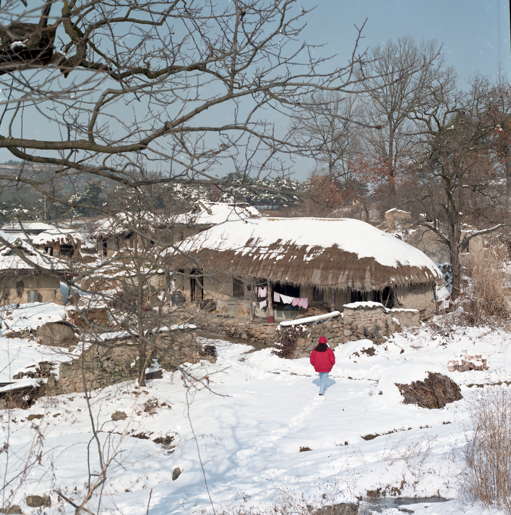 다운로드 불가 이미지