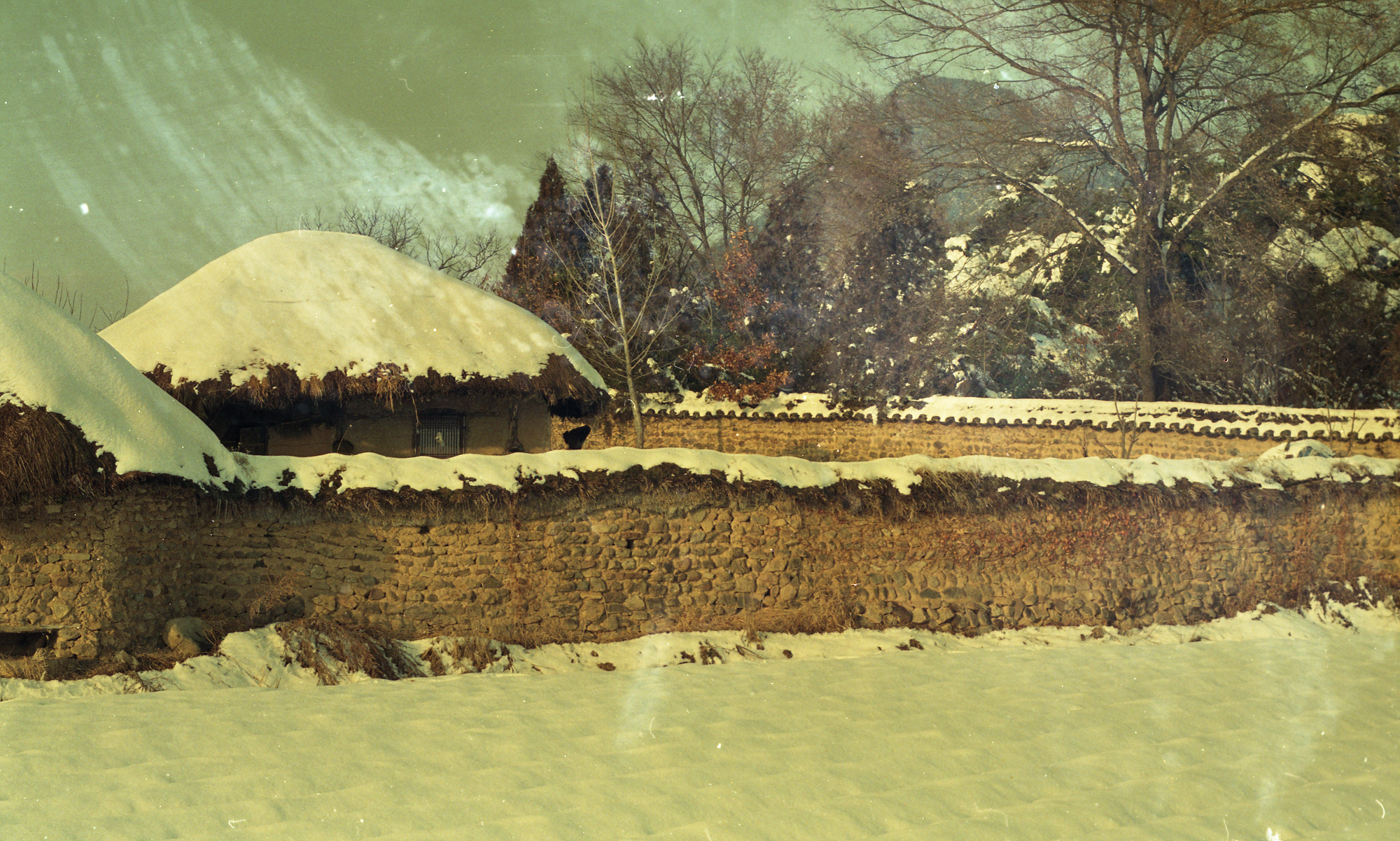 다운로드 불가 이미지