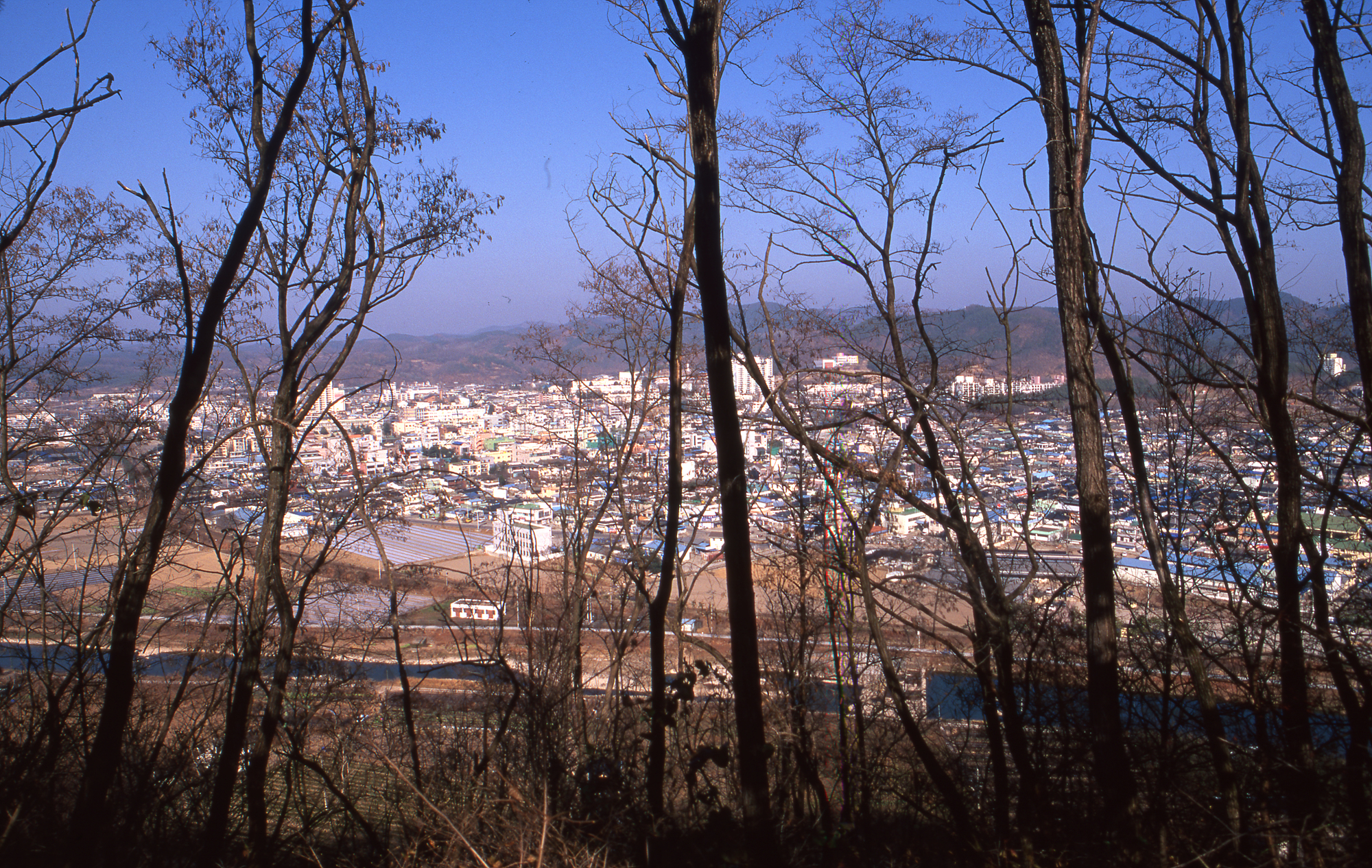 다운로드 불가 이미지