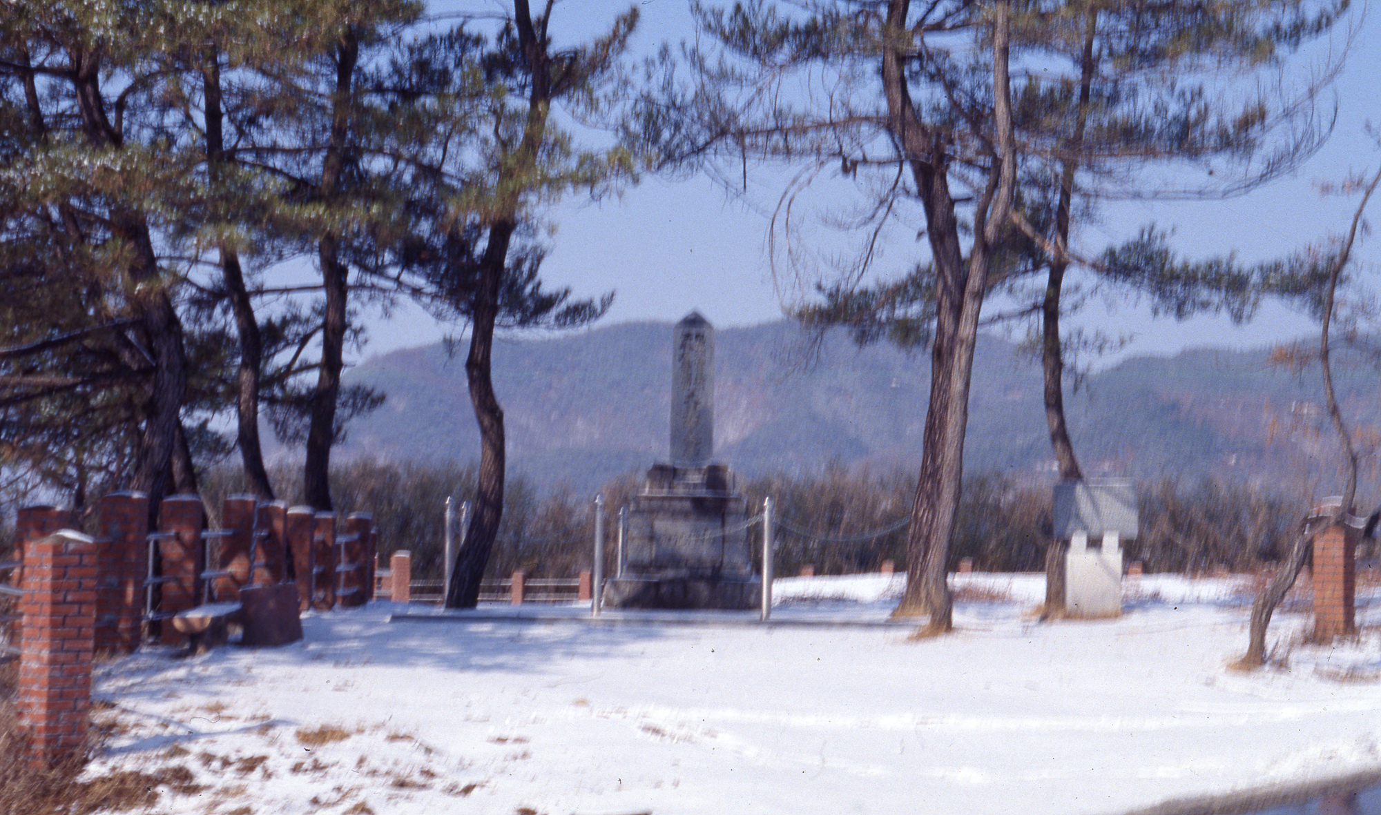 다운로드 불가 이미지