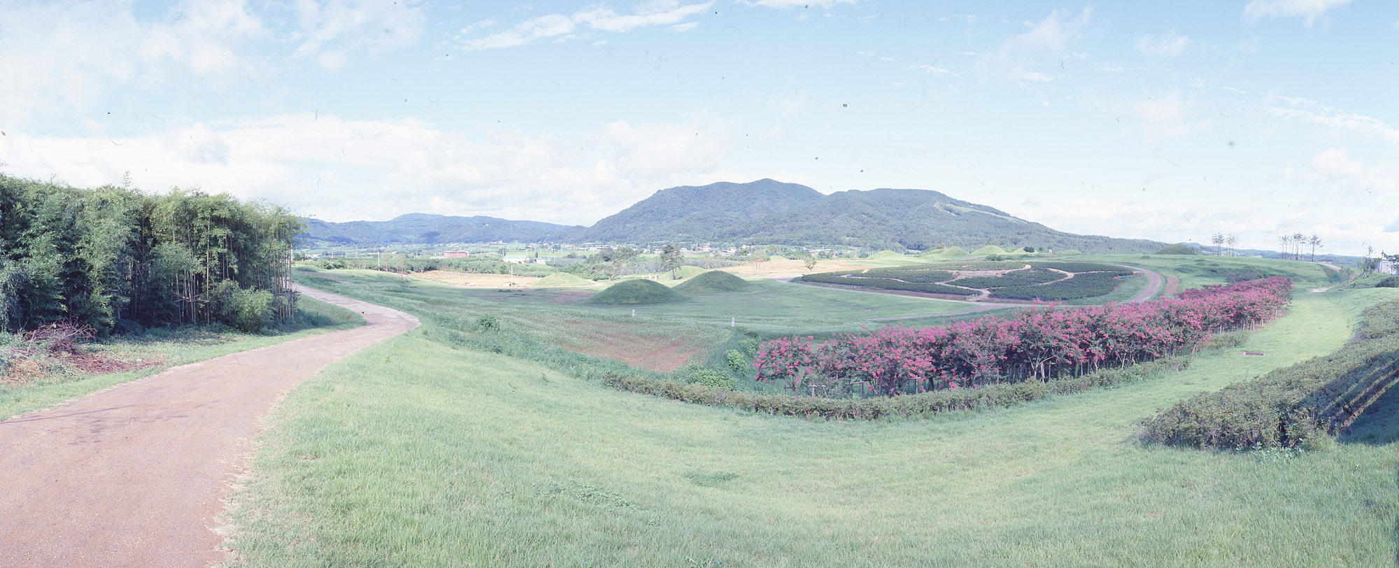 다운로드 불가 이미지