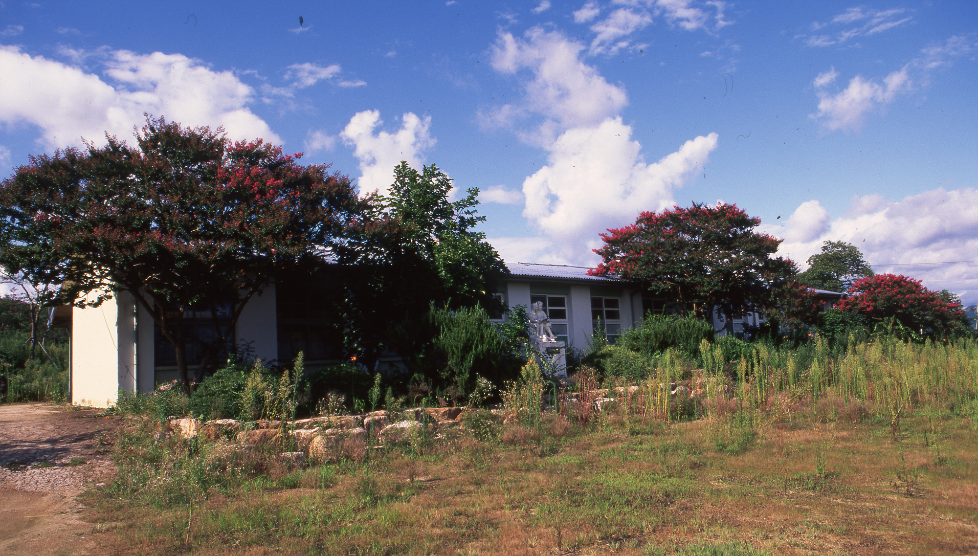 다운로드 불가 이미지