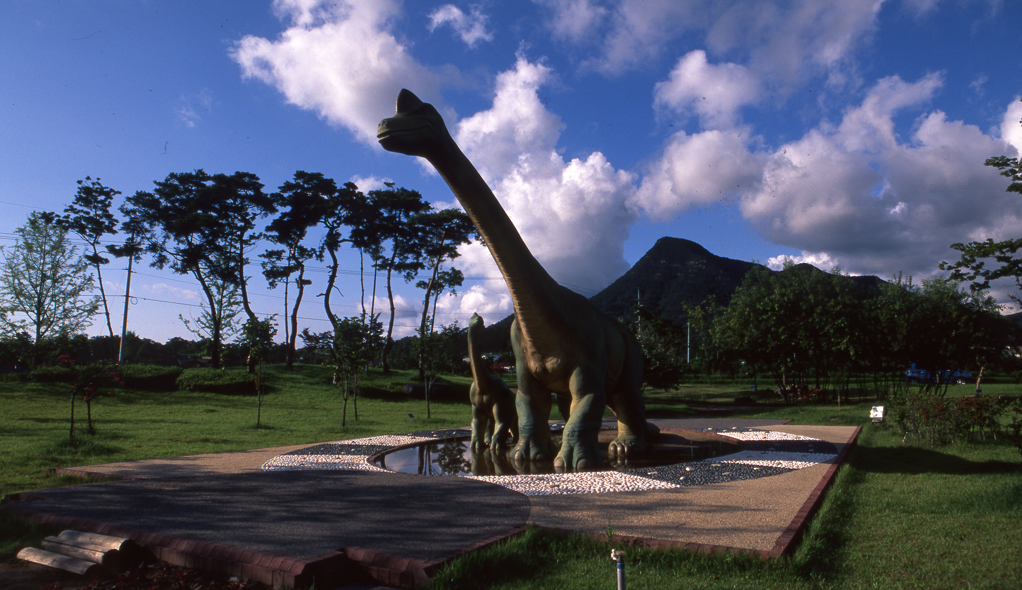 다운로드 불가 이미지