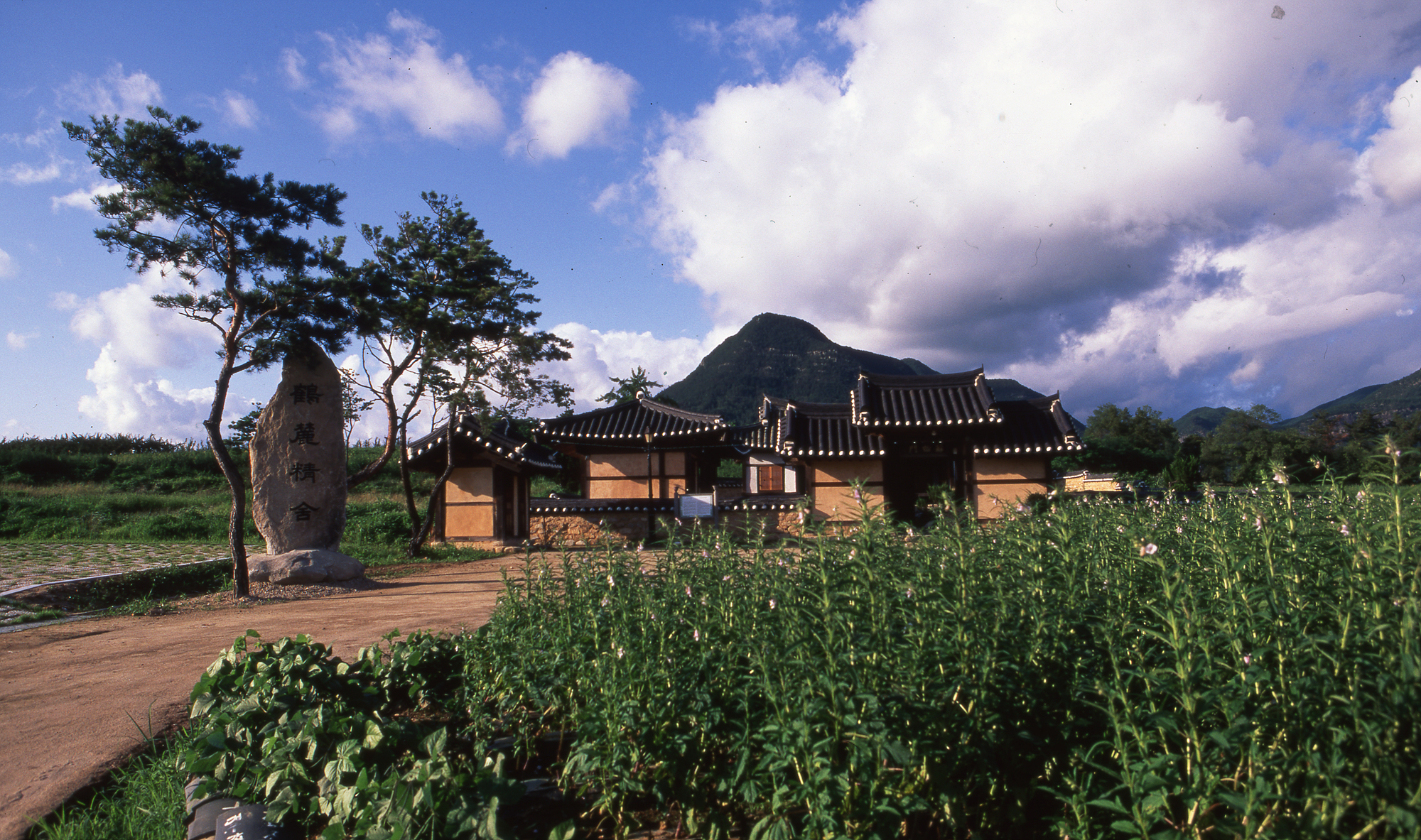 다운로드 불가 이미지