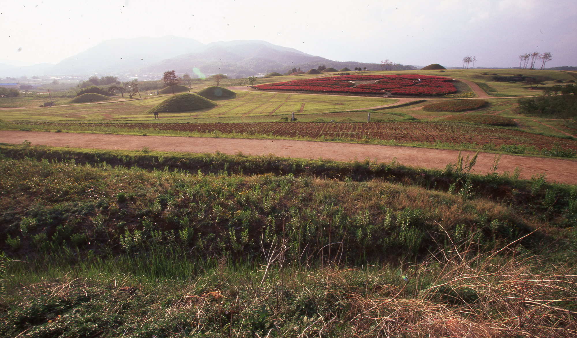 다운로드 불가 이미지