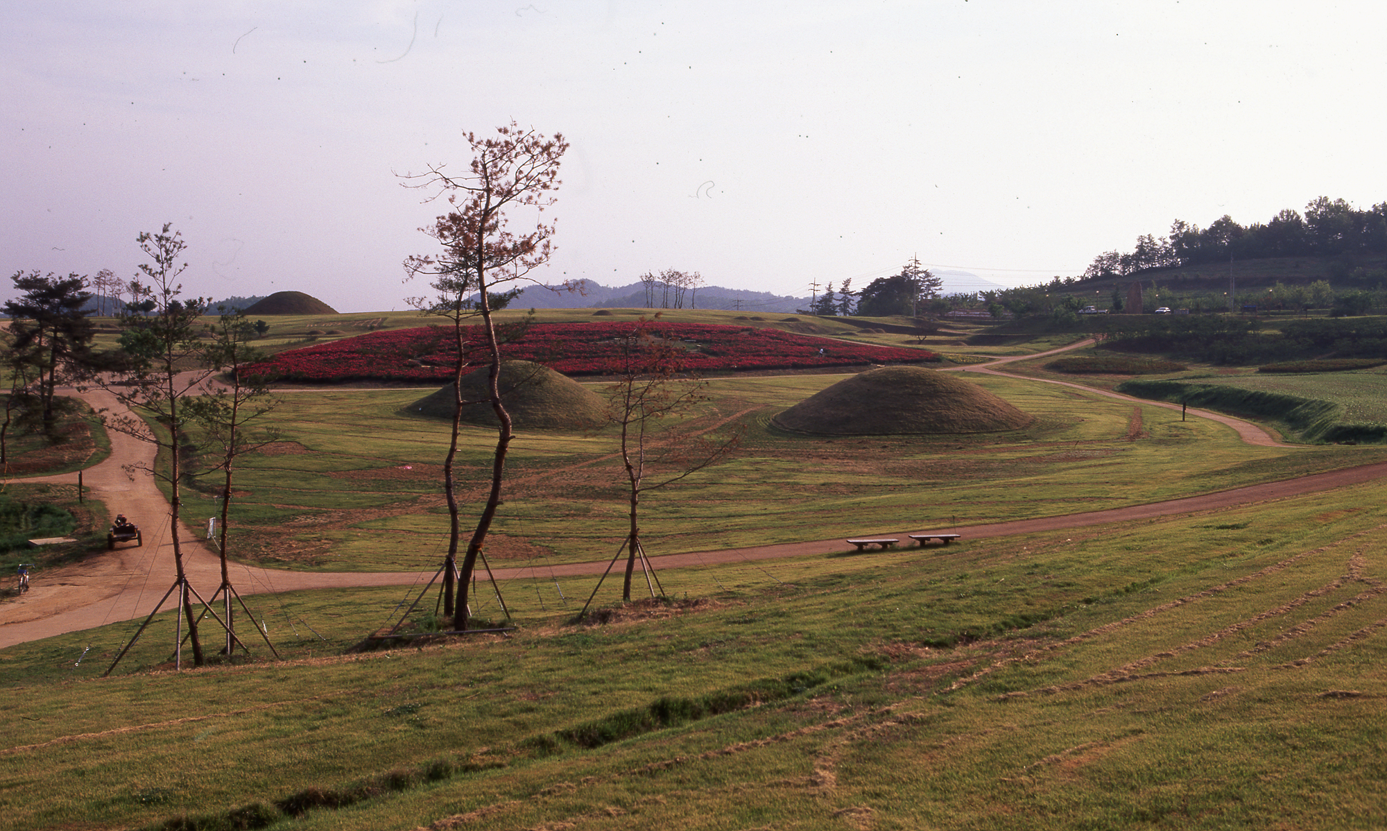 다운로드 불가 이미지