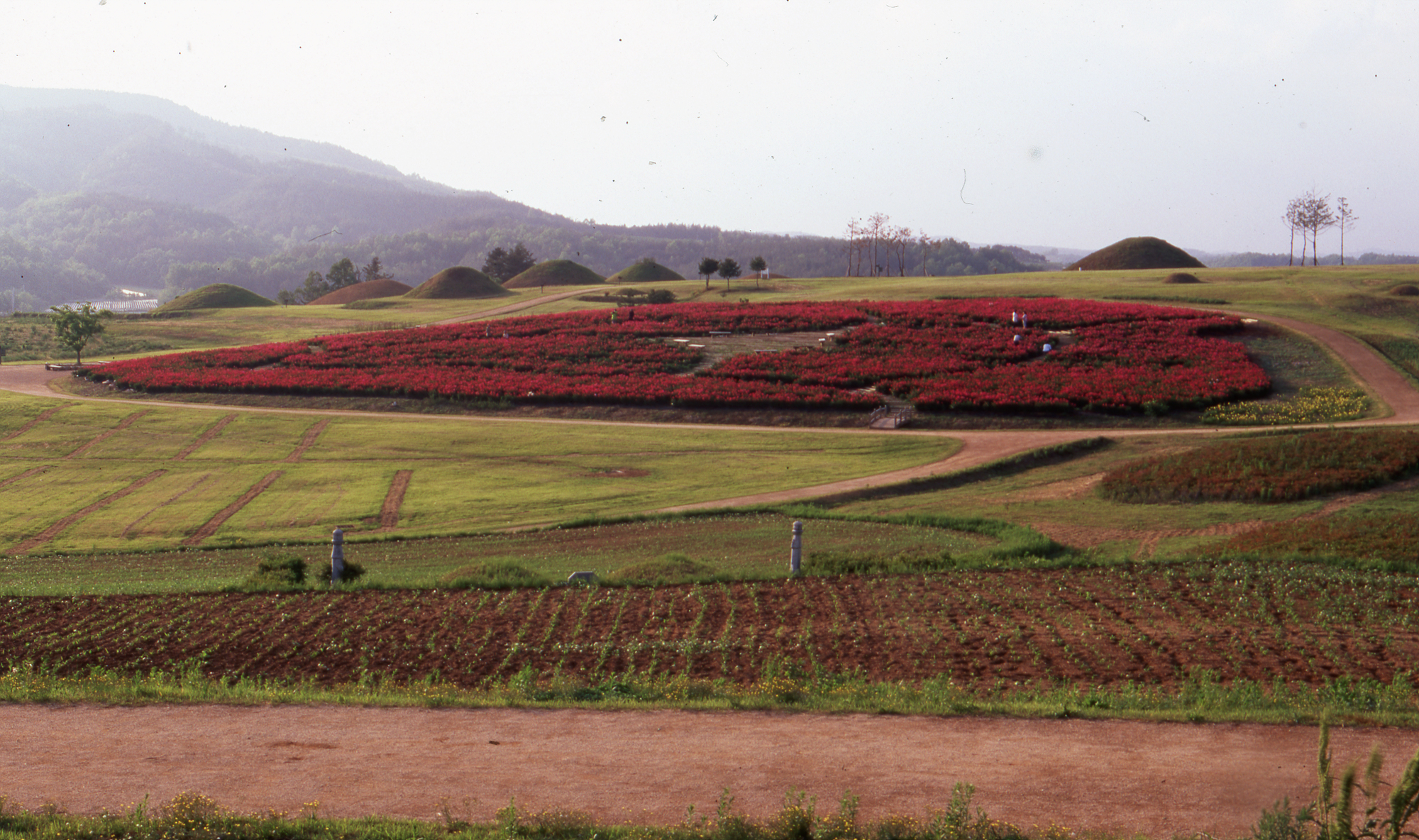 다운로드 불가 이미지