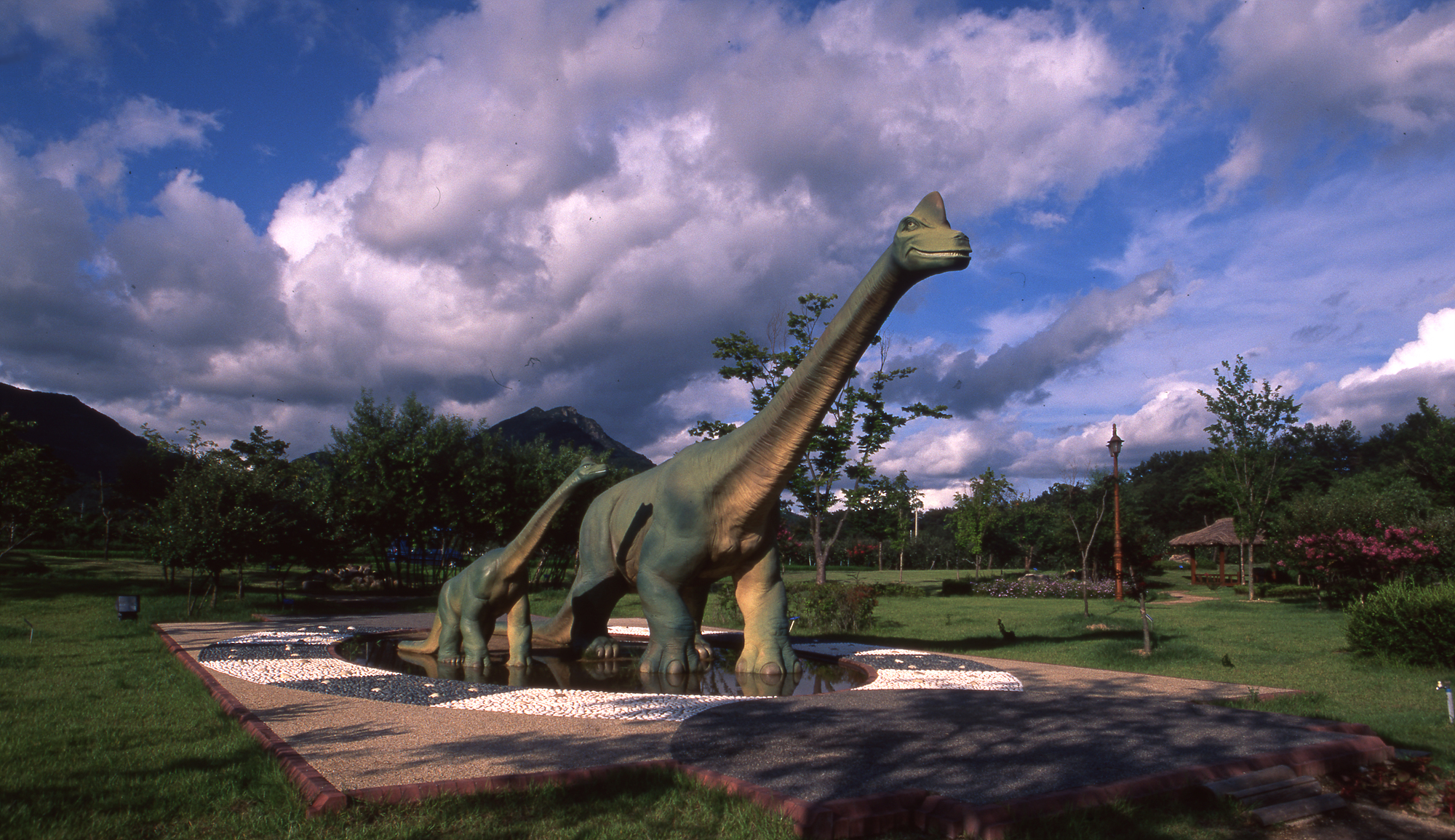 다운로드 불가 이미지