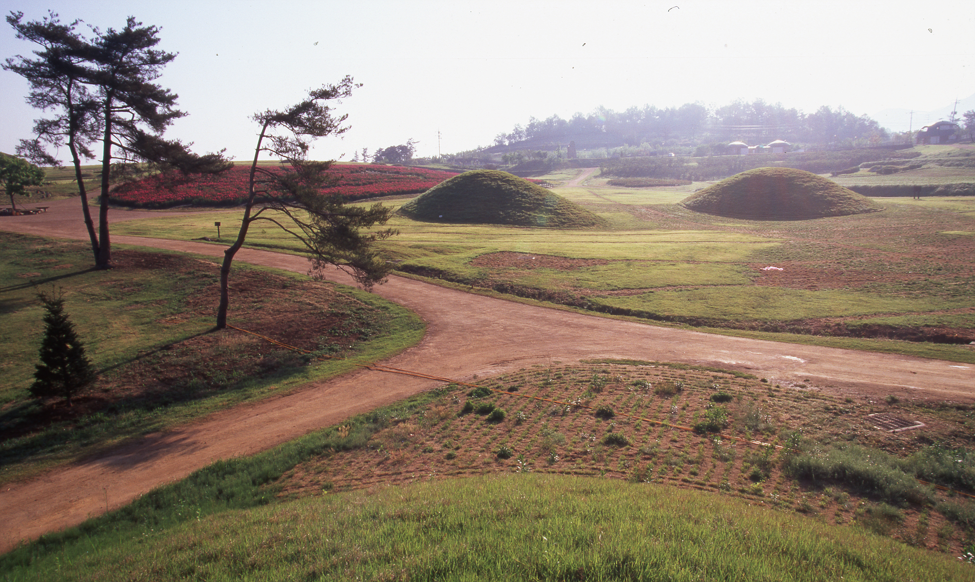 다운로드 불가 이미지