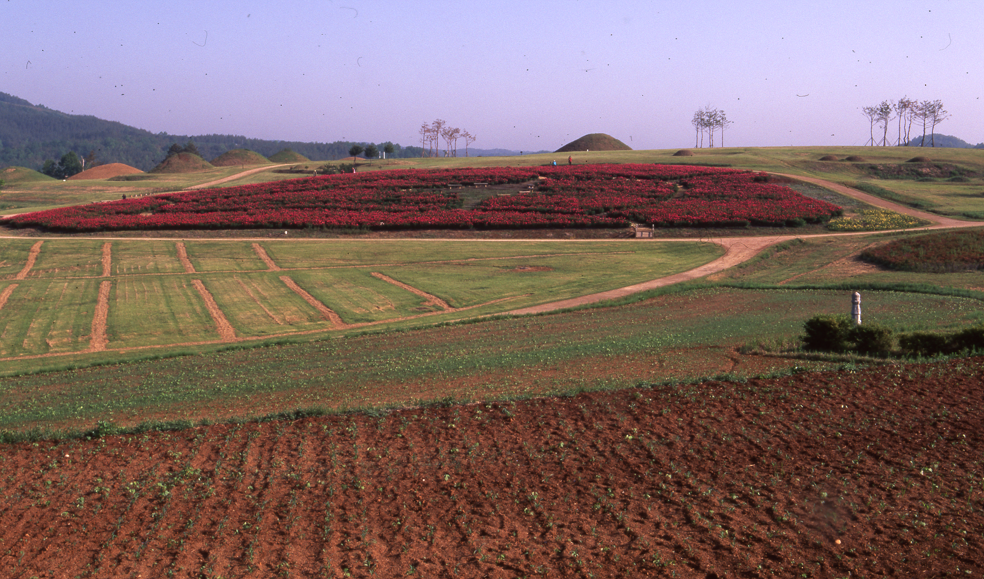 다운로드 불가 이미지