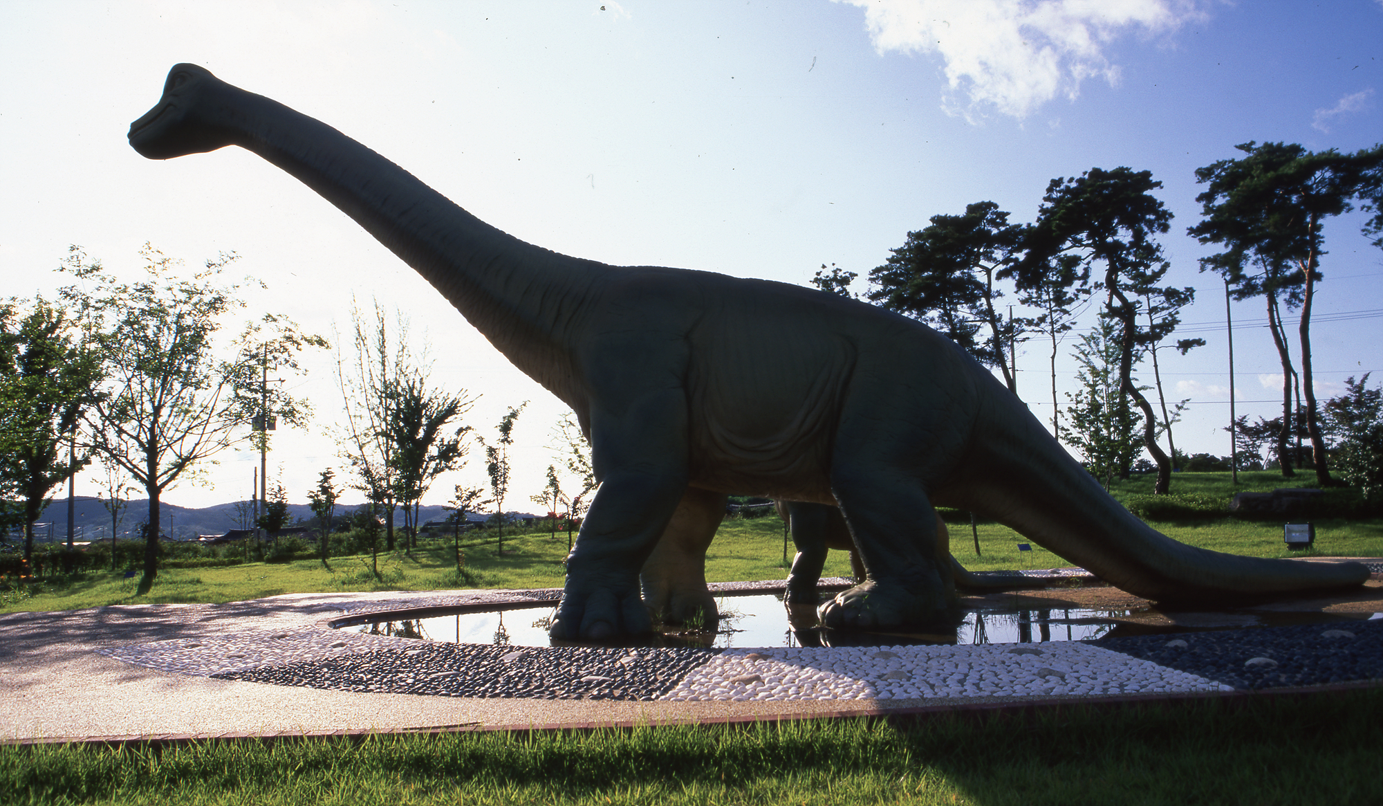 다운로드 불가 이미지