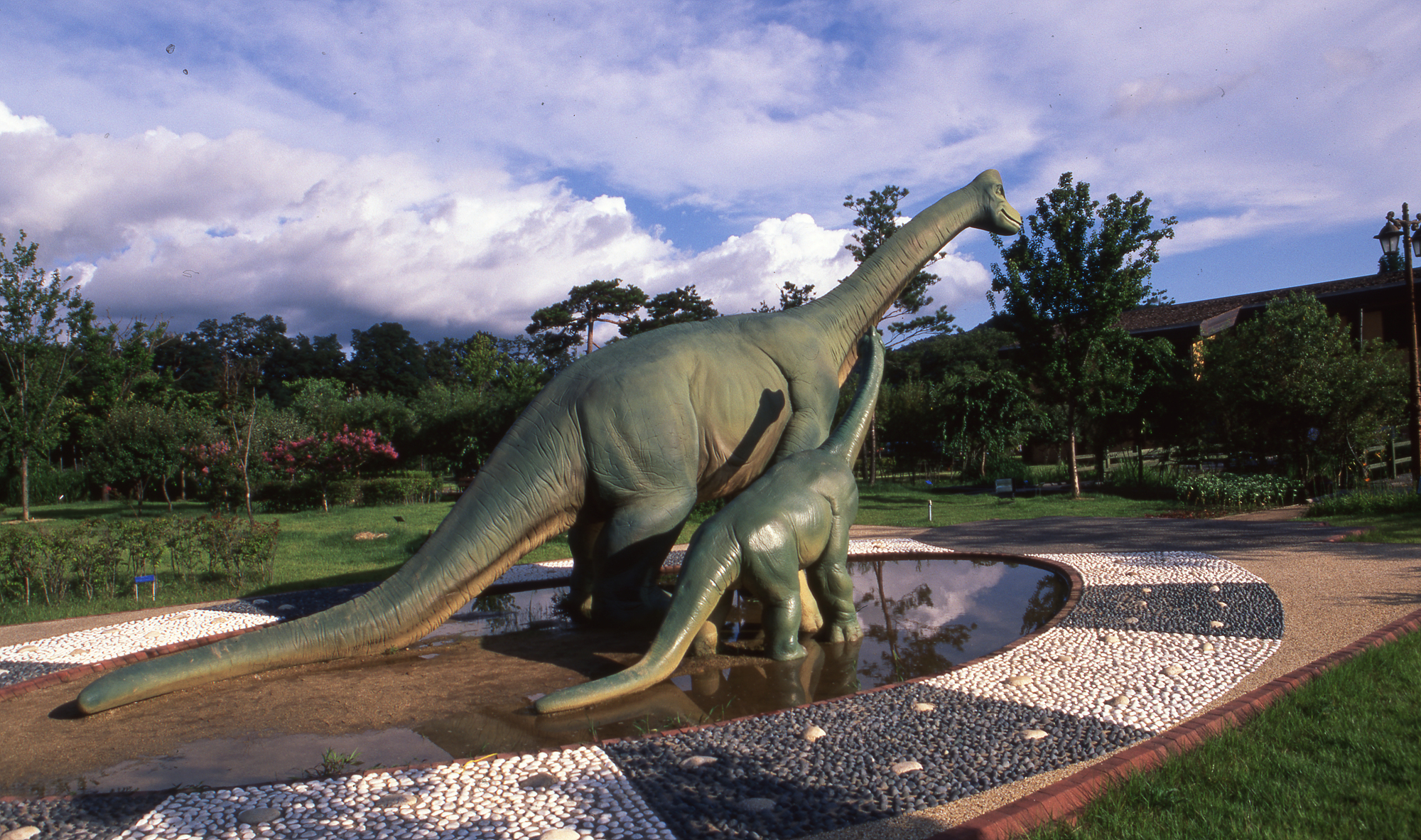 다운로드 불가 이미지