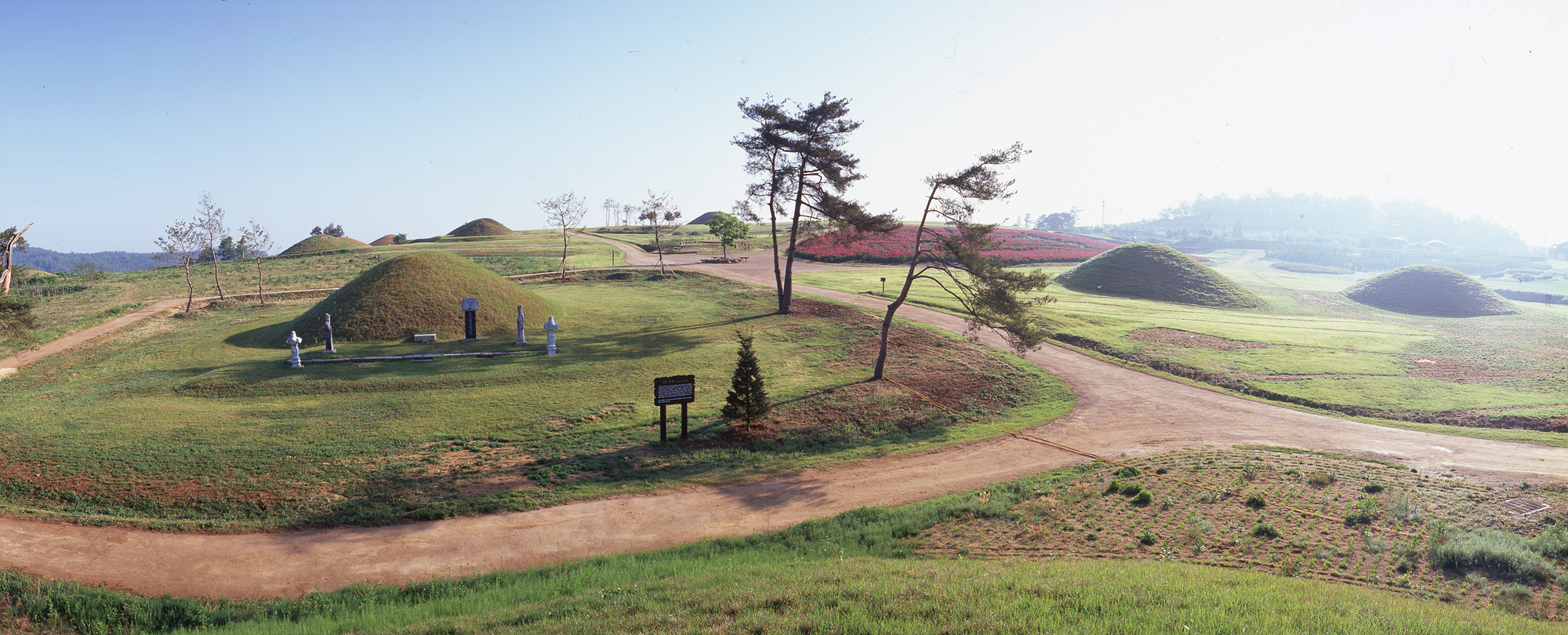 다운로드 불가 이미지