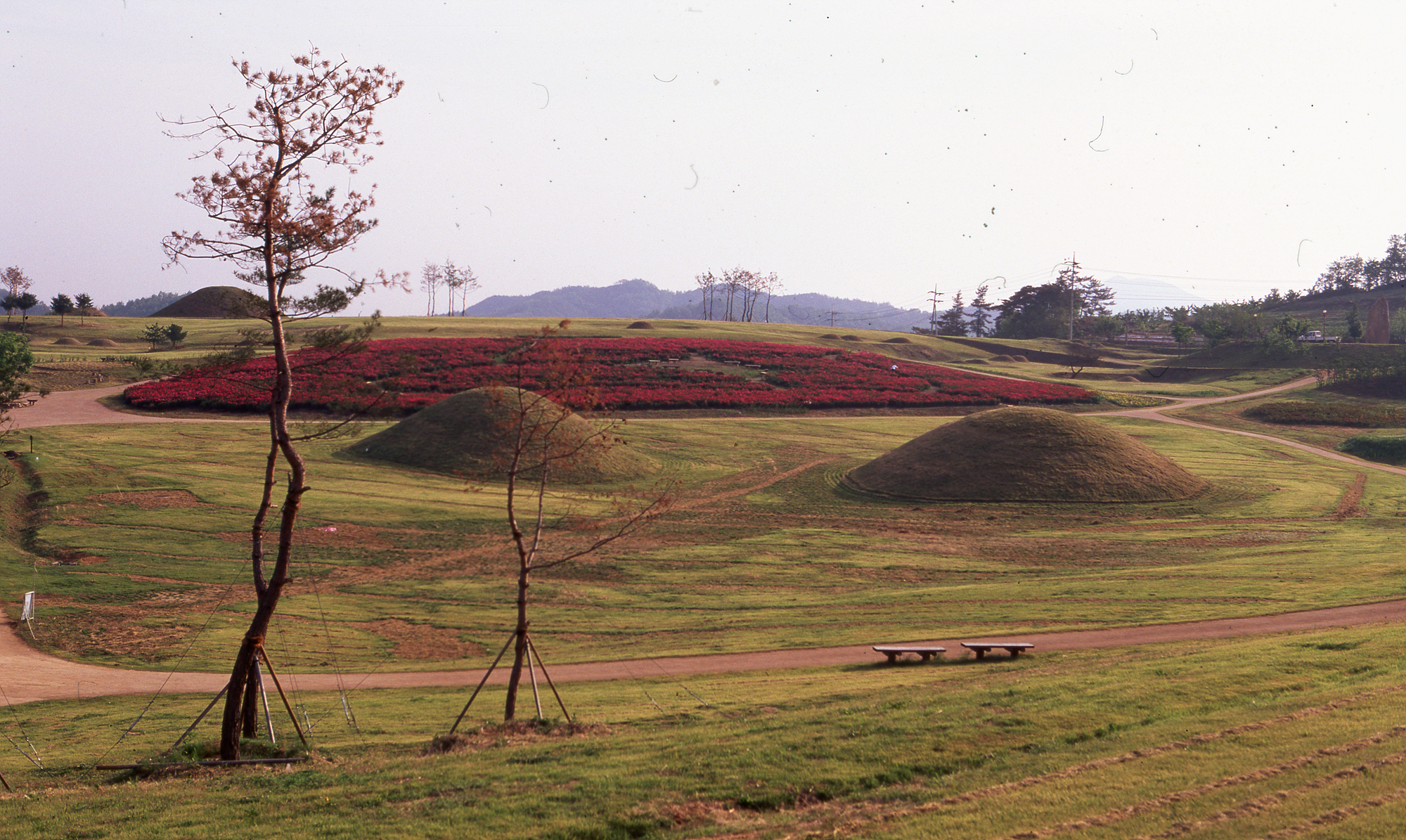 다운로드 불가 이미지