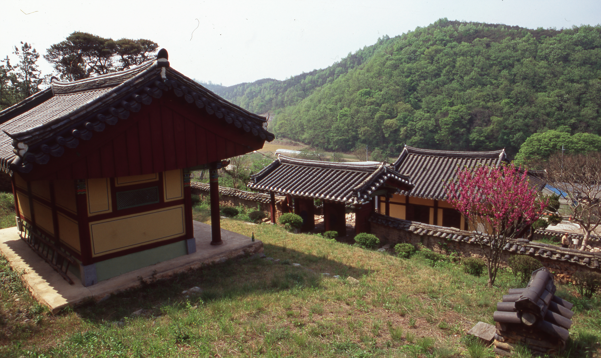 다운로드 불가 이미지