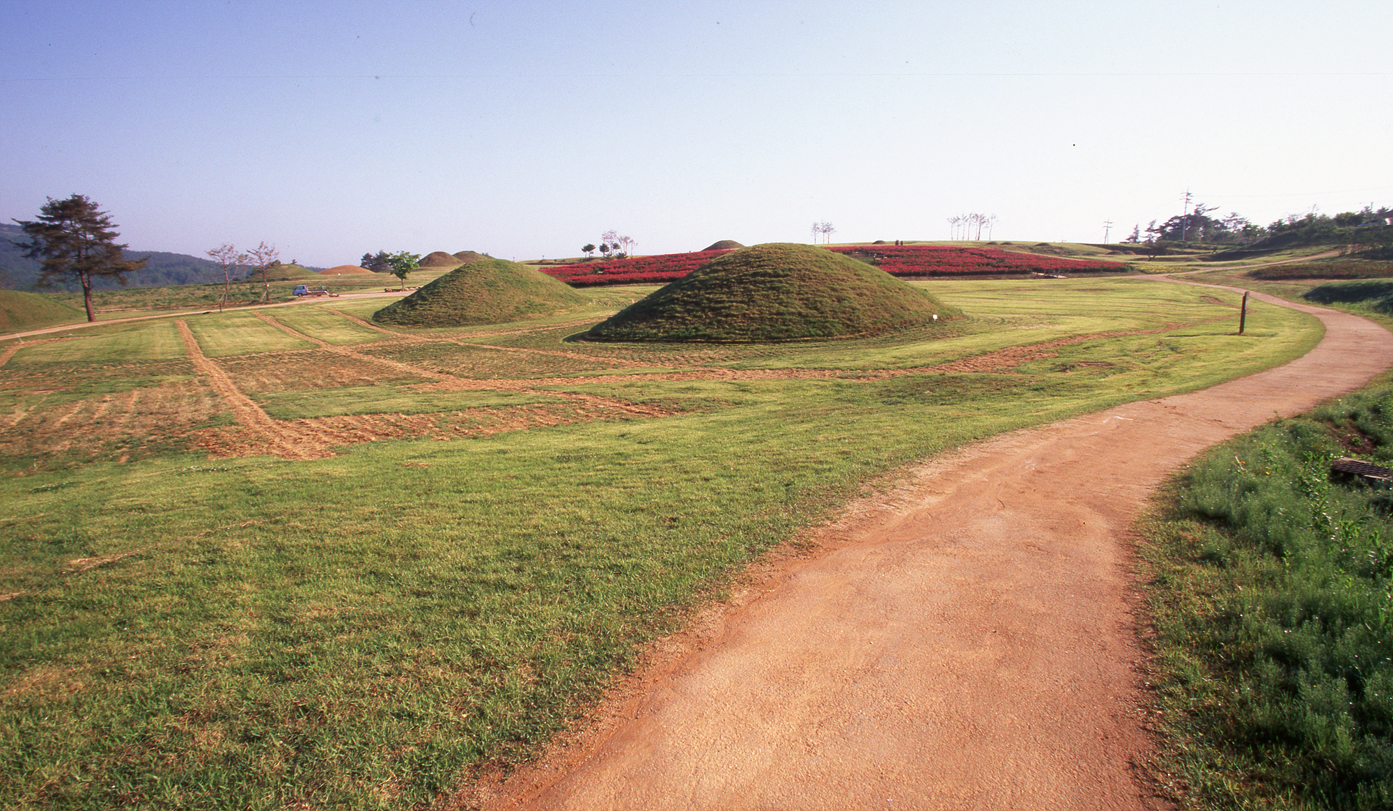 다운로드 불가 이미지