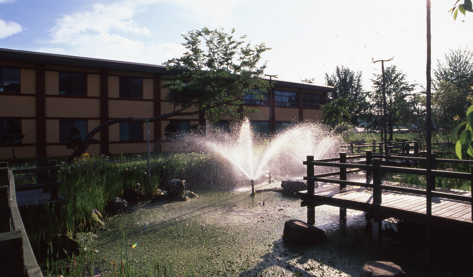 다운로드 불가 이미지