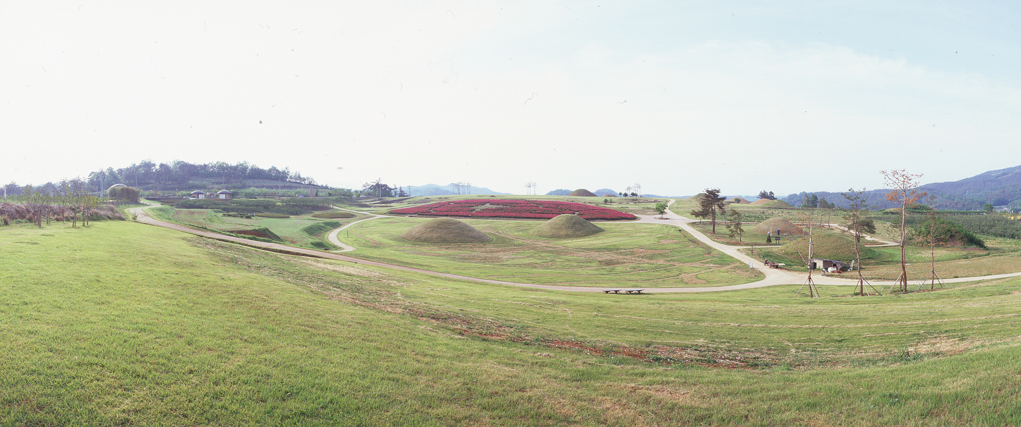 다운로드 불가 이미지